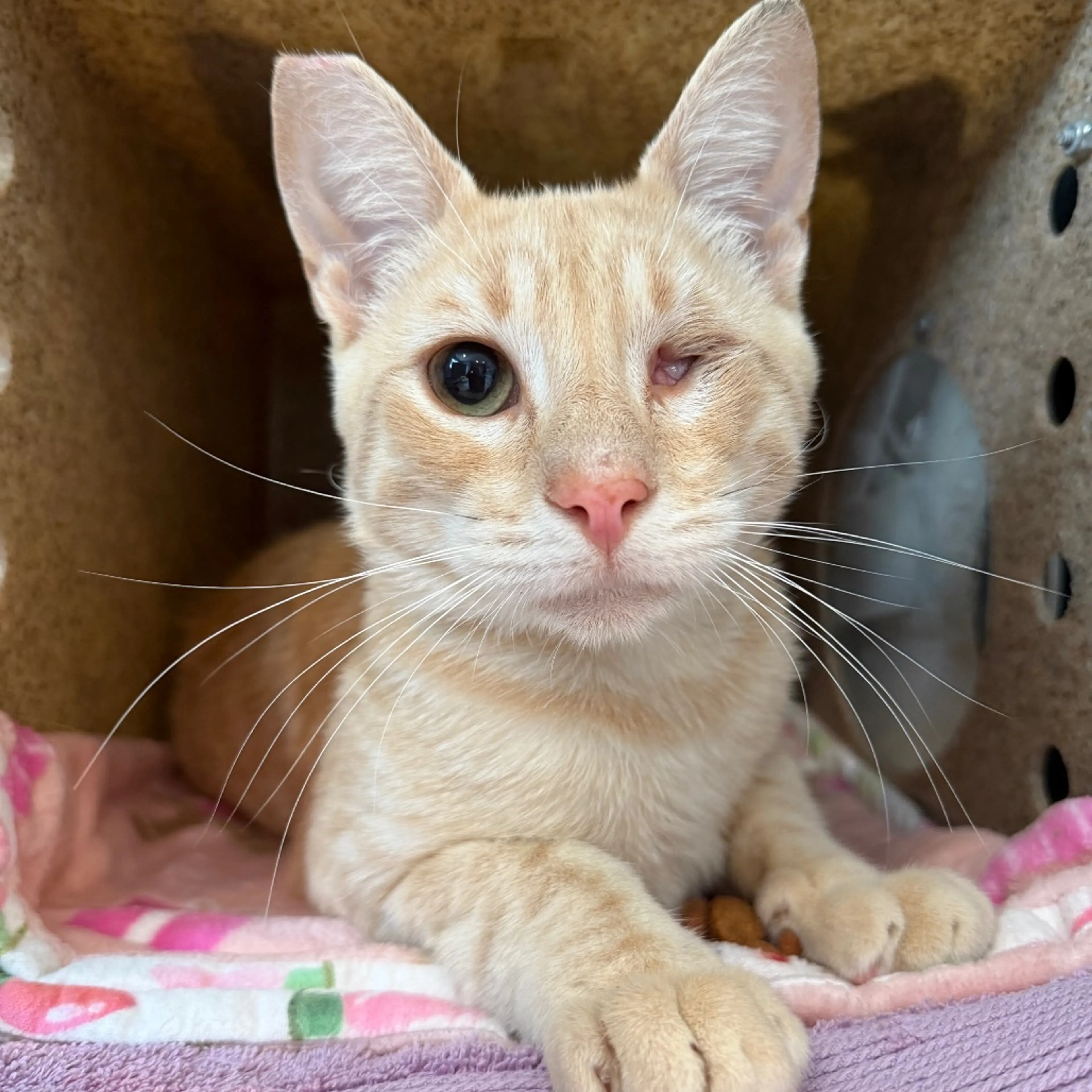 -0