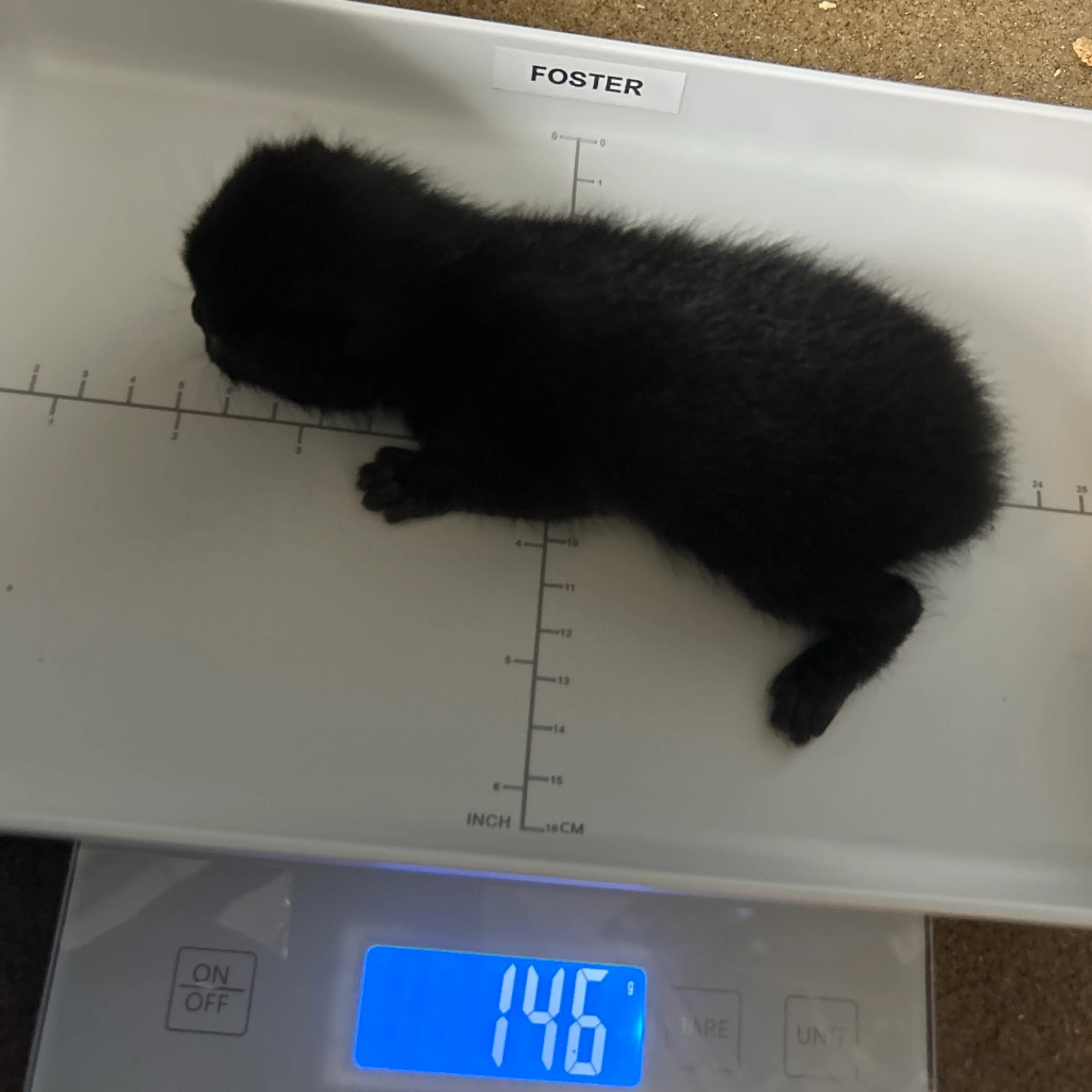 -1