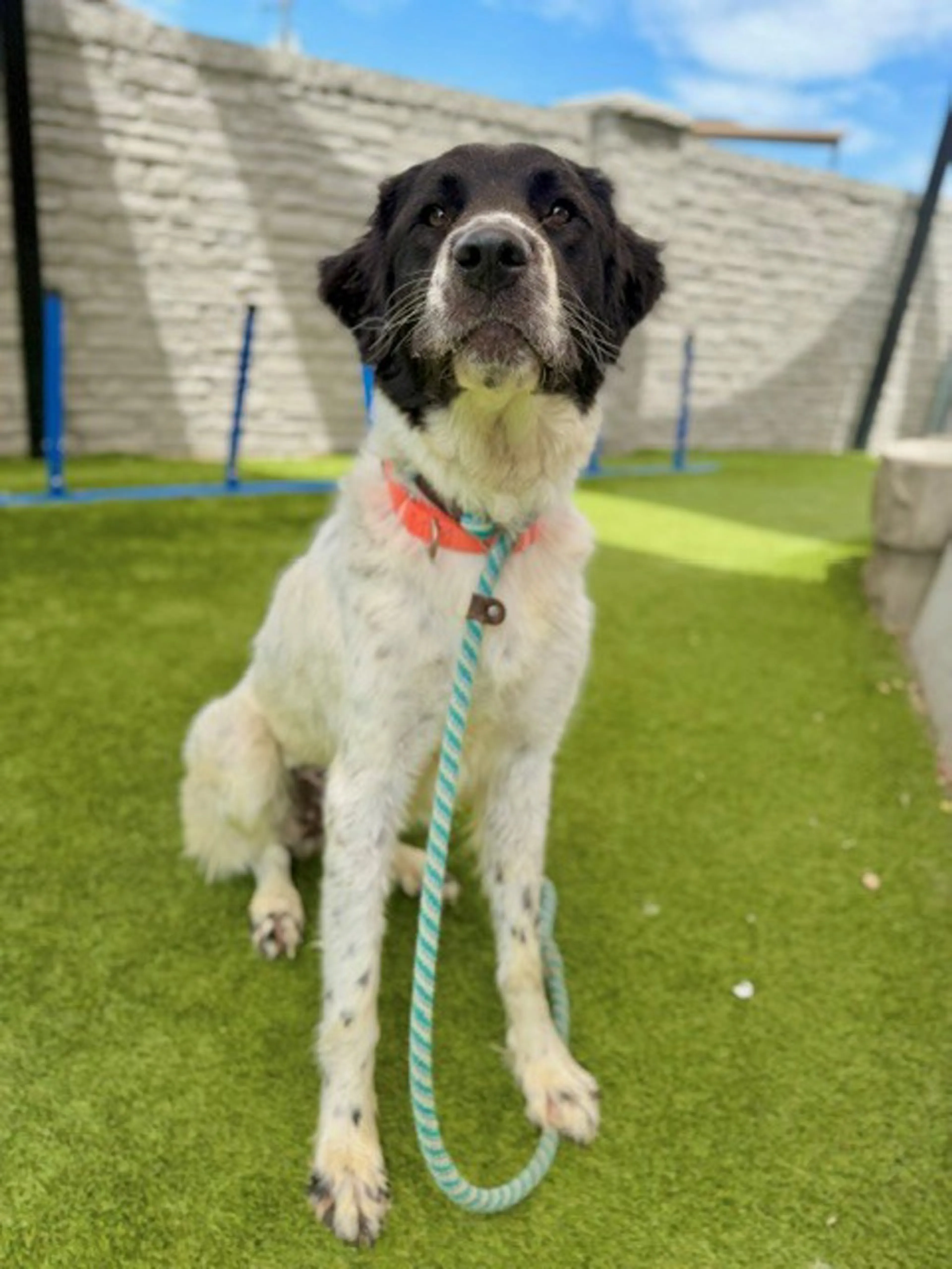 -5