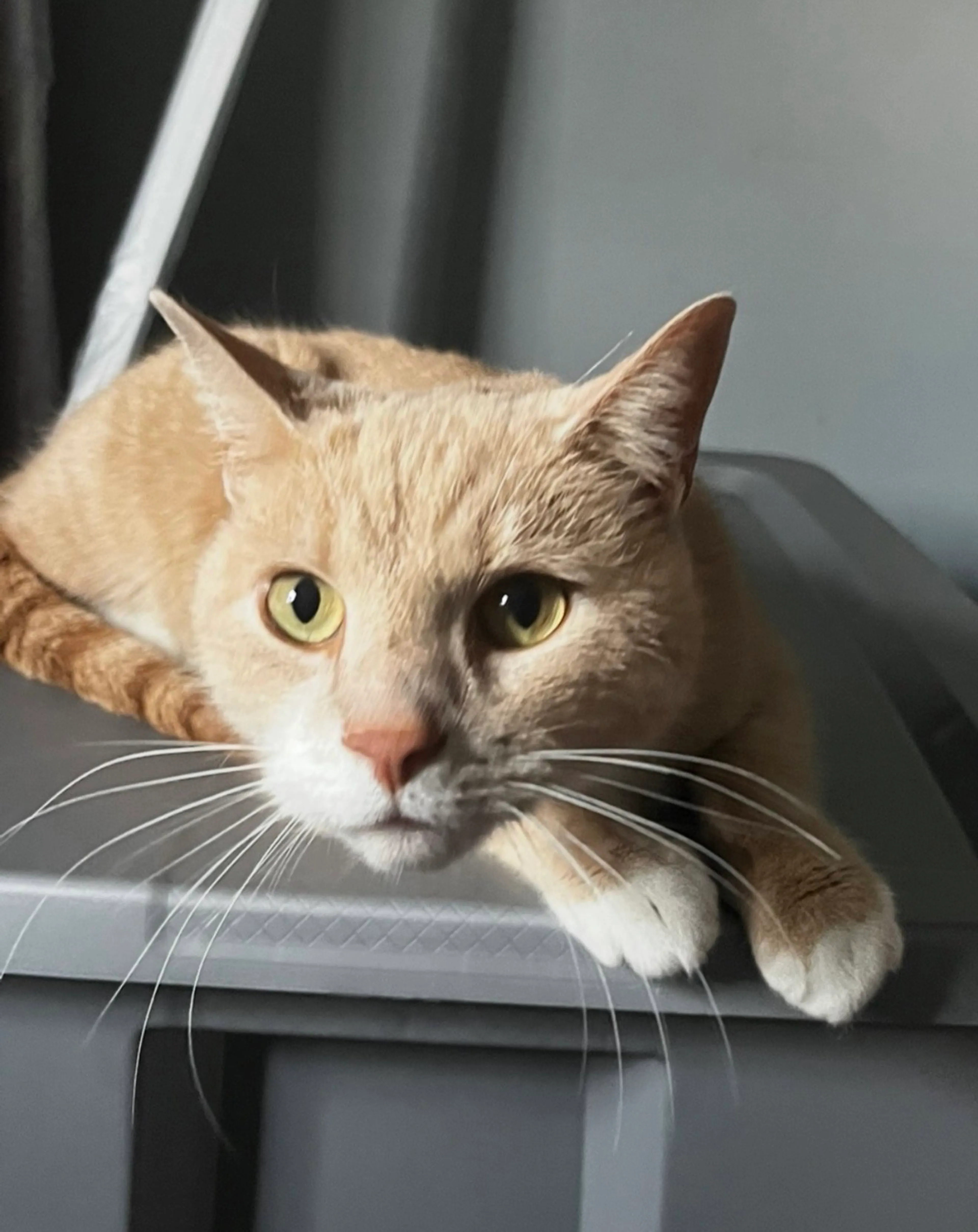 -0