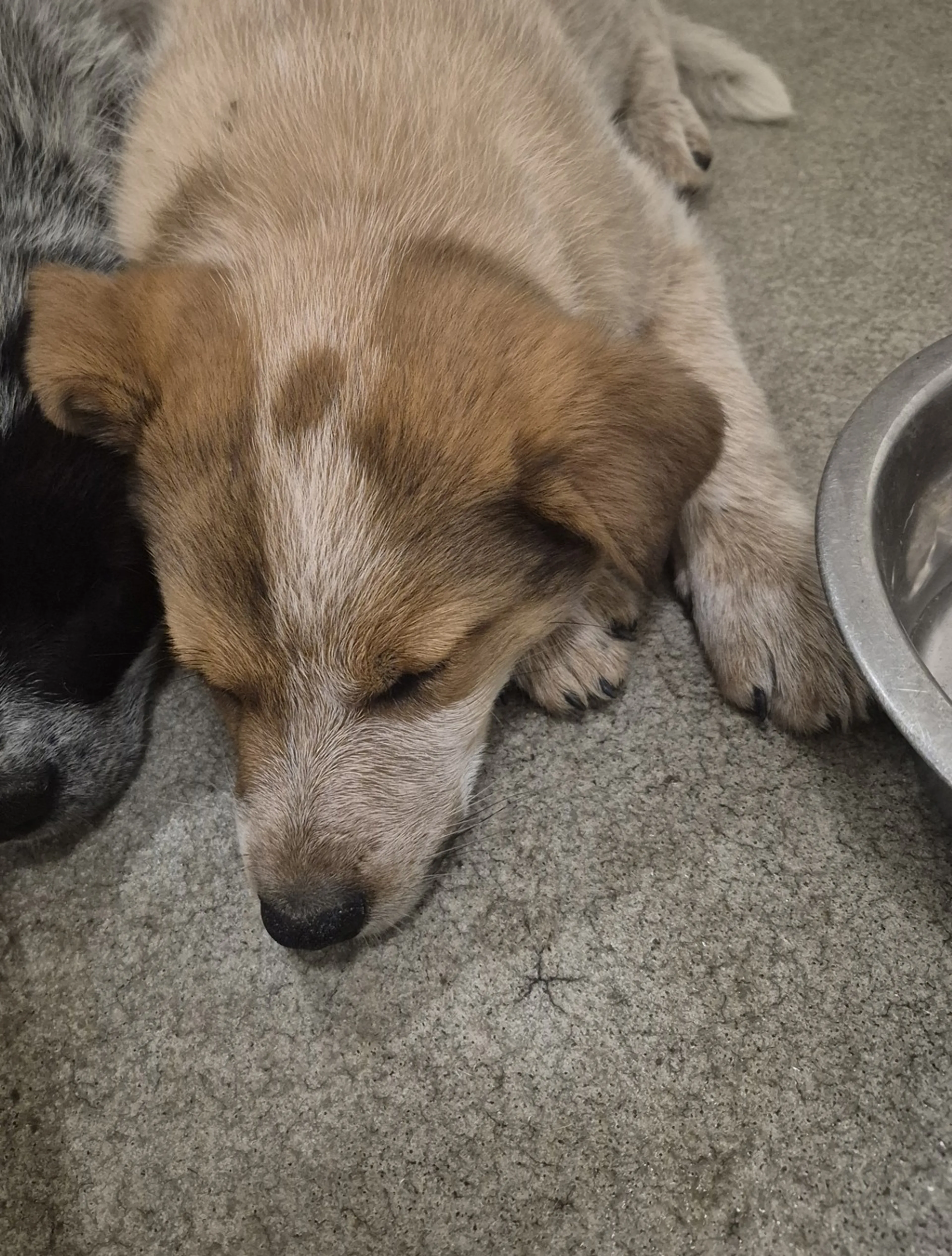 -1
