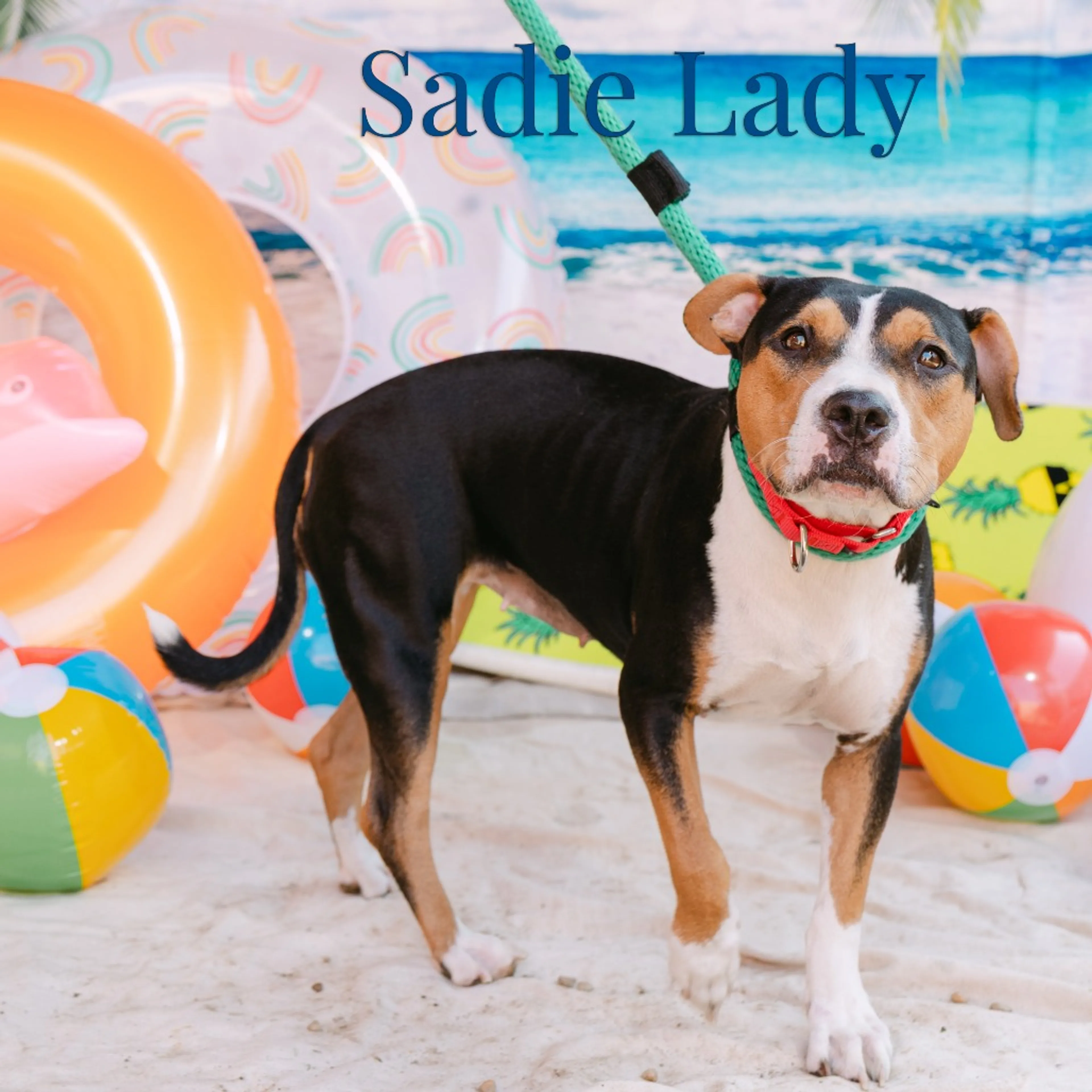 -0