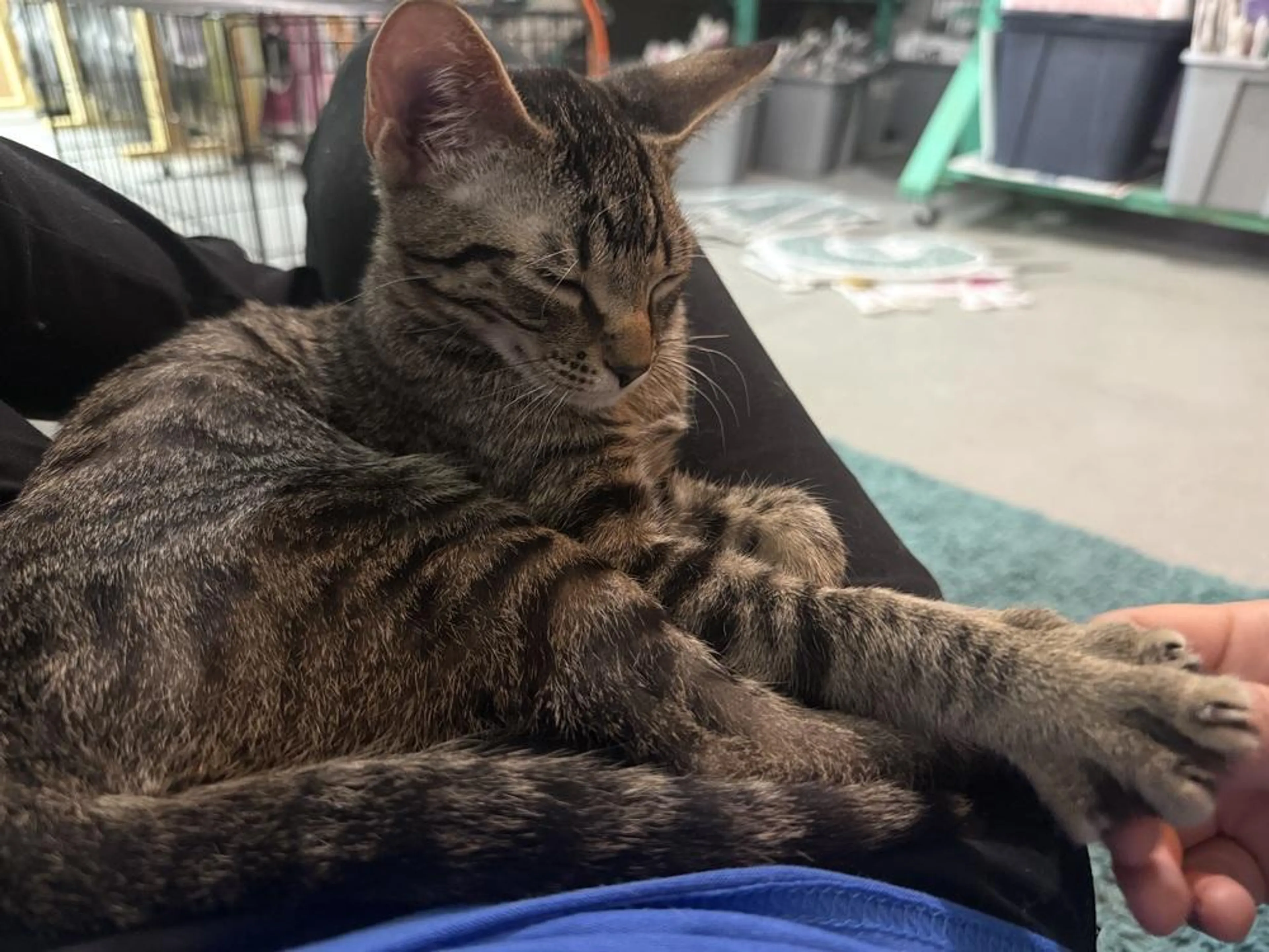 -0