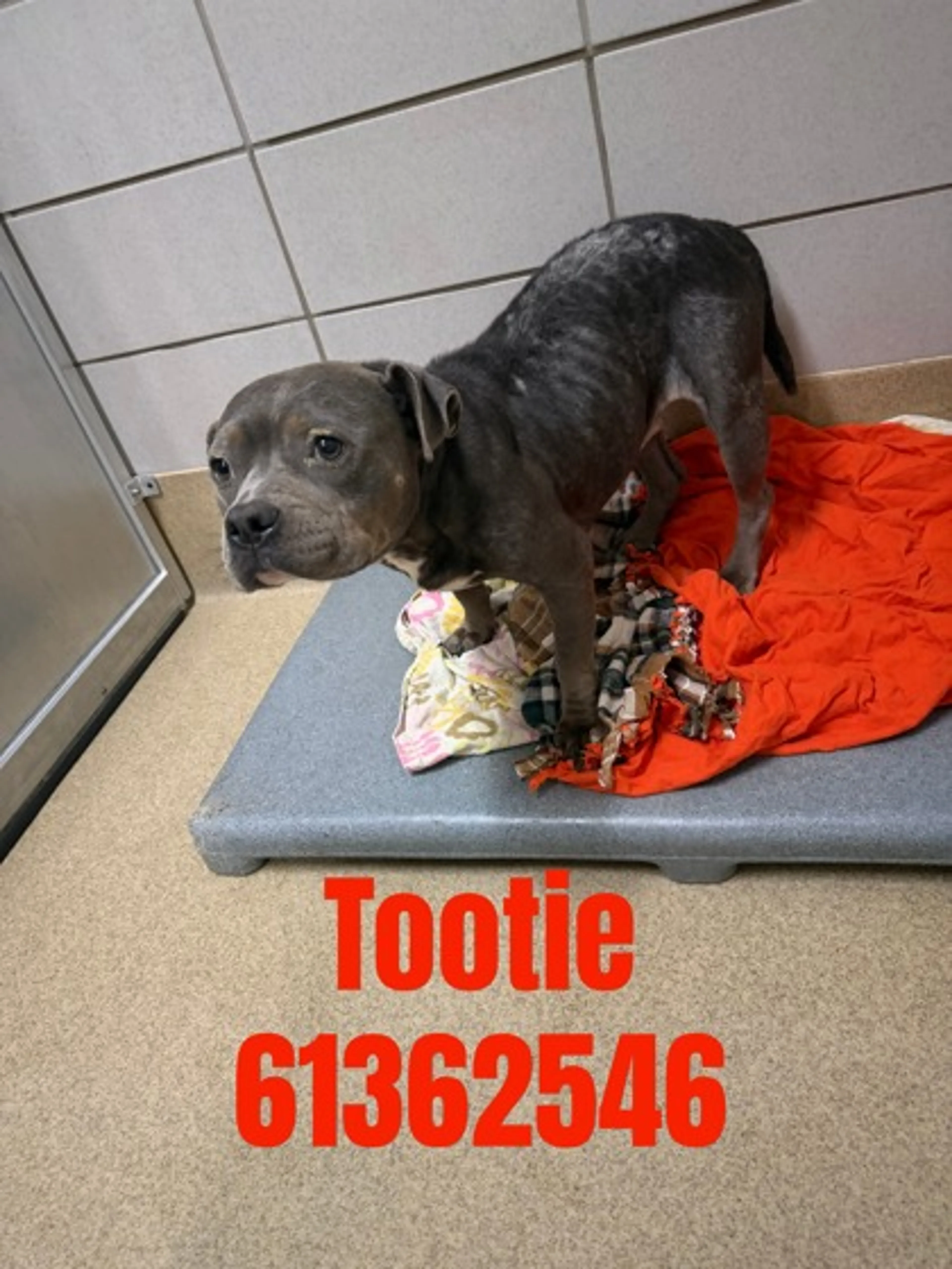 -0