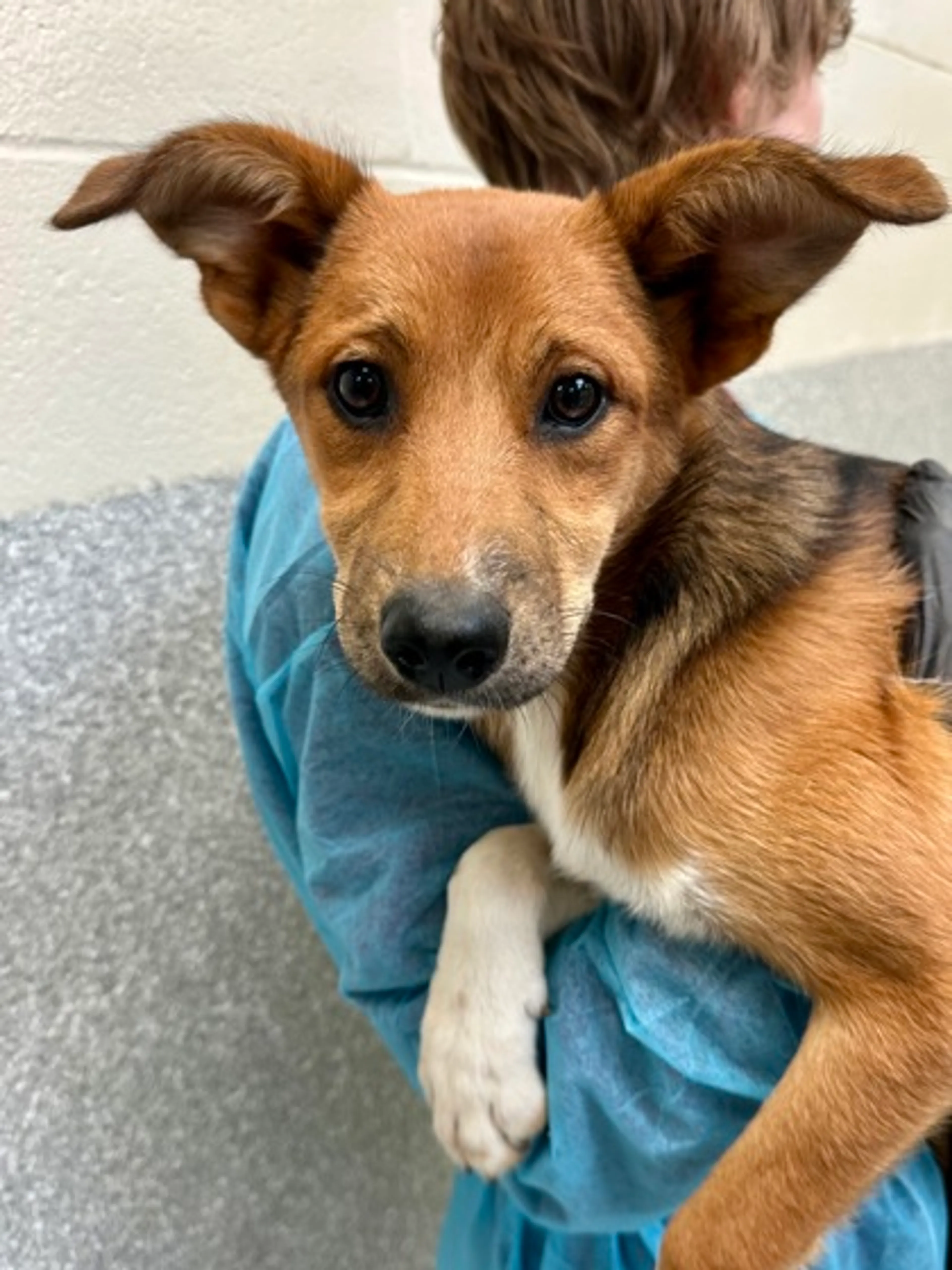 -0