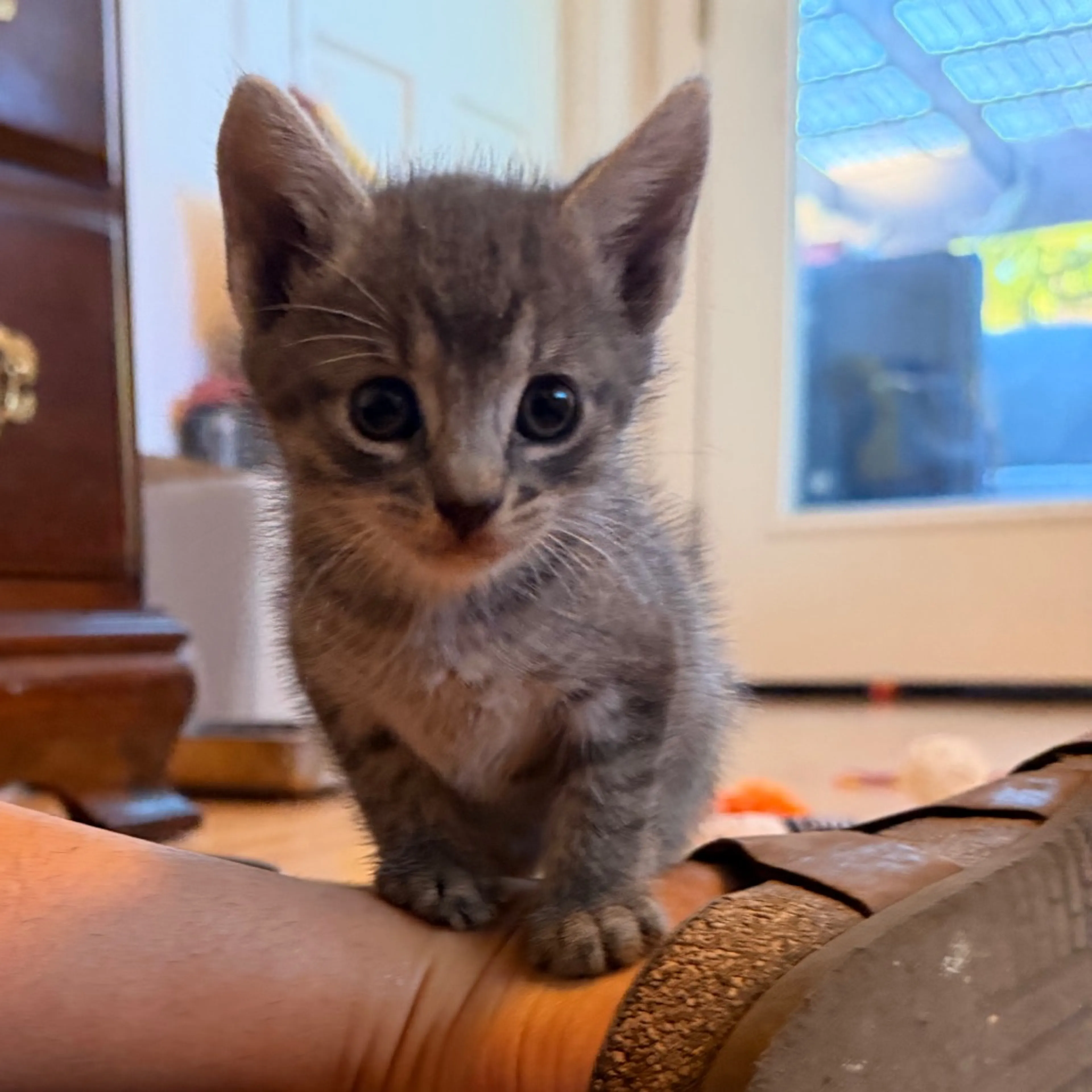 -3