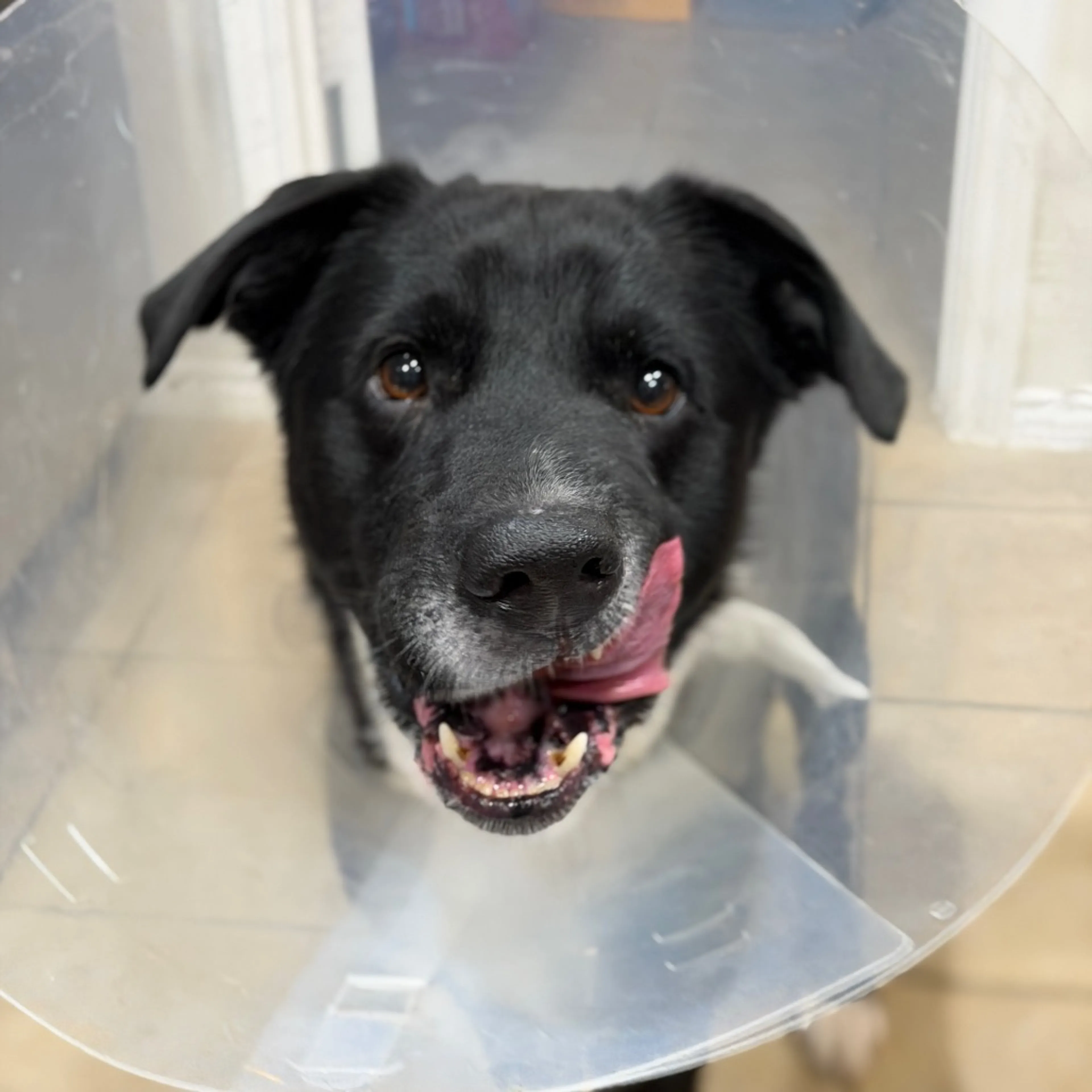 -0