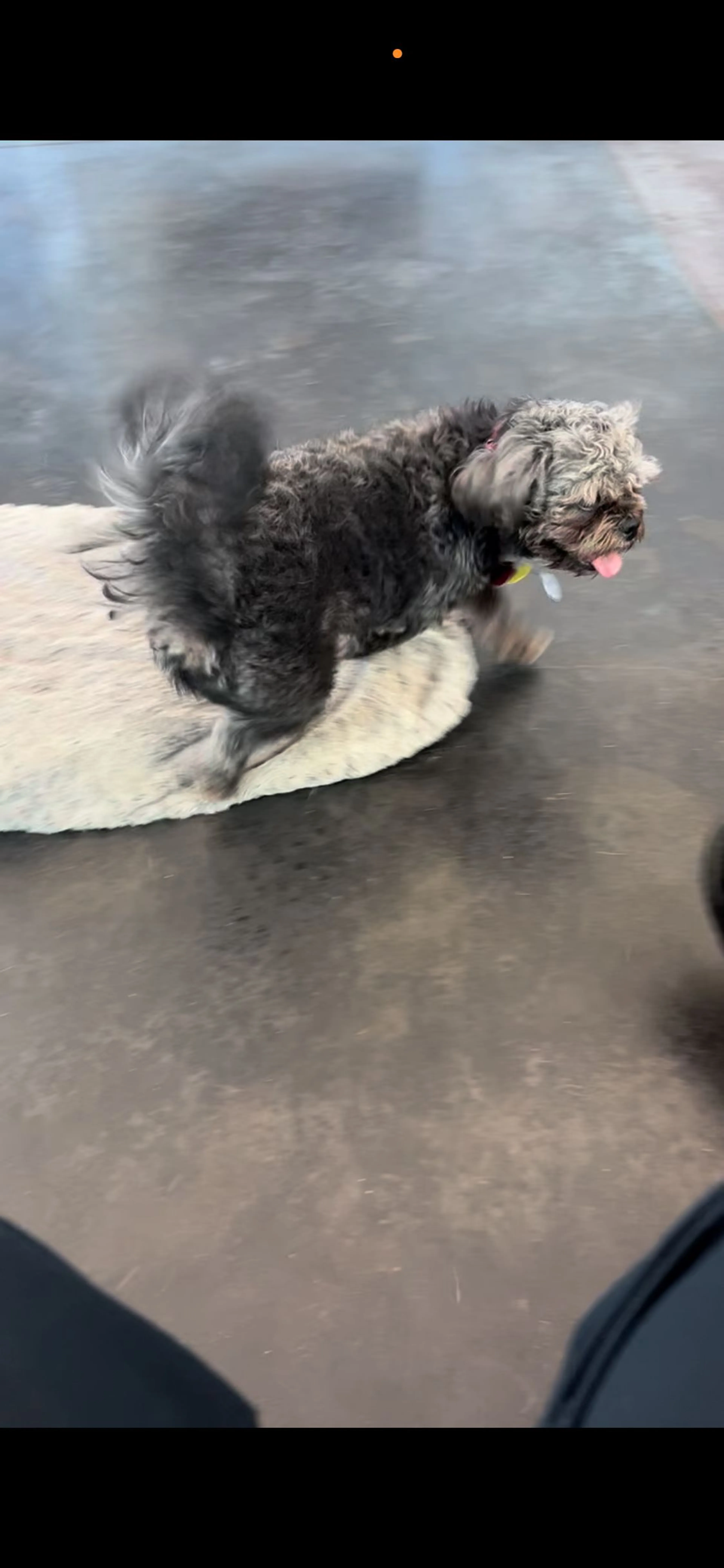 cdn image