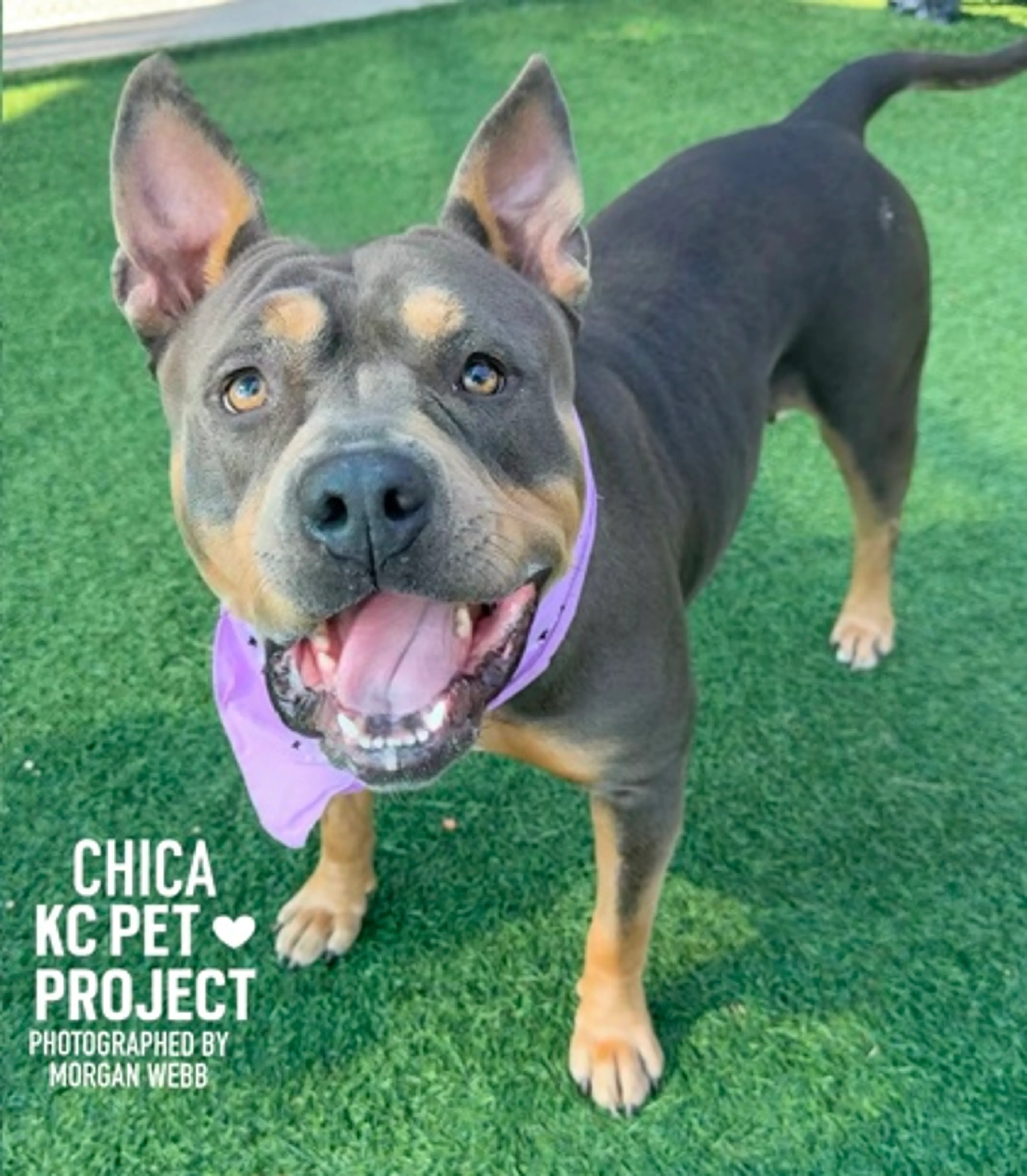 -1