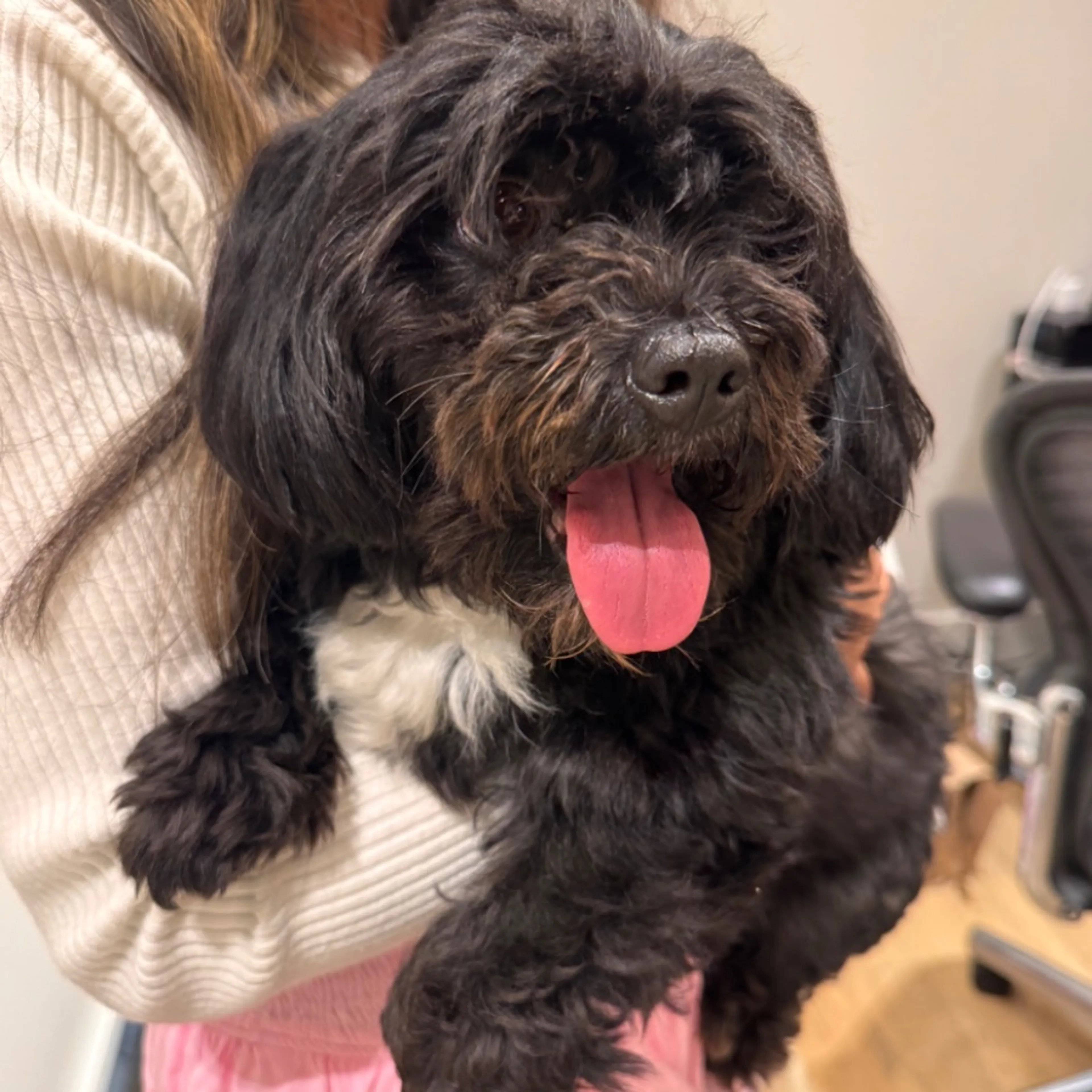 cdn image