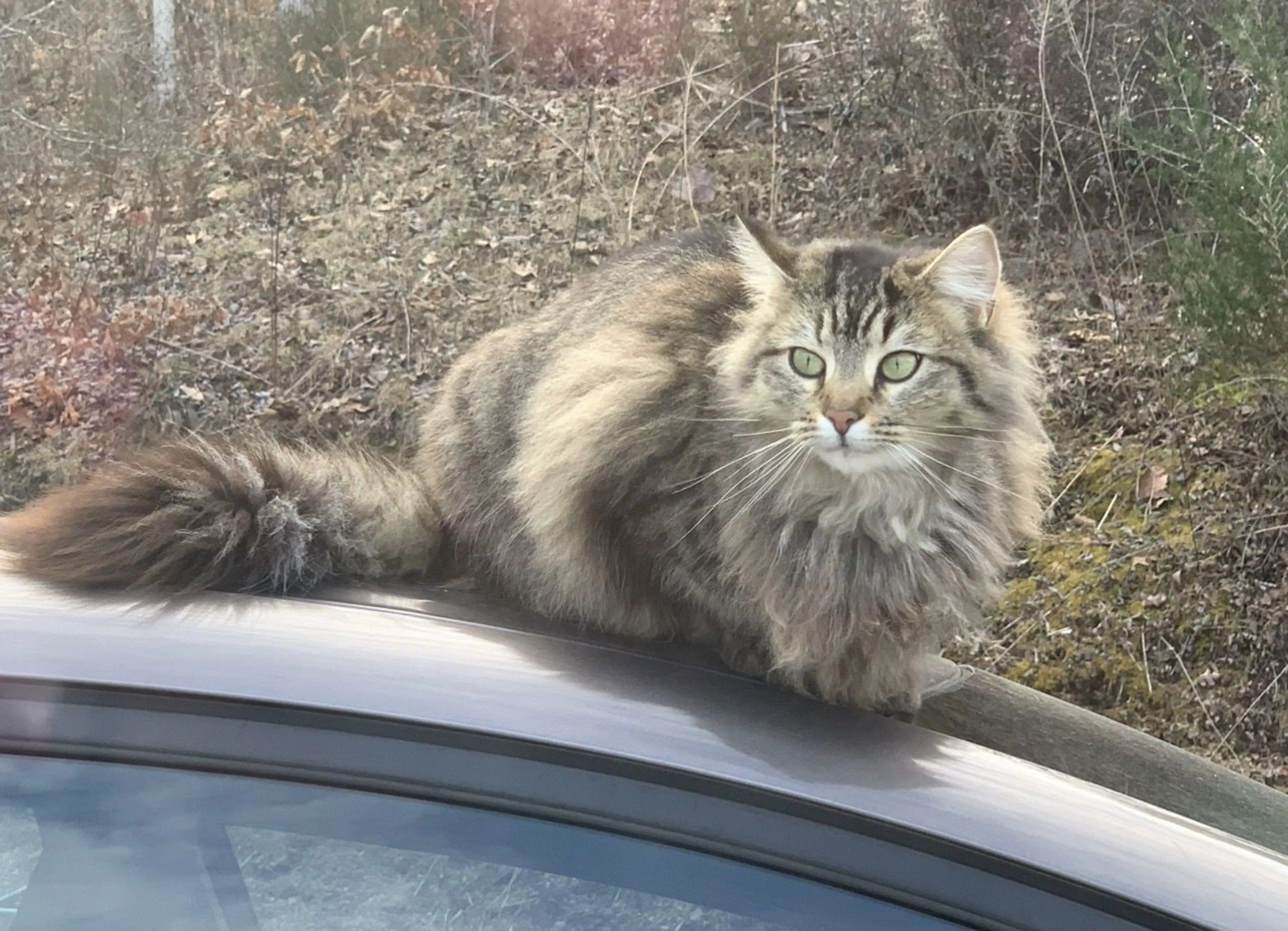 -0