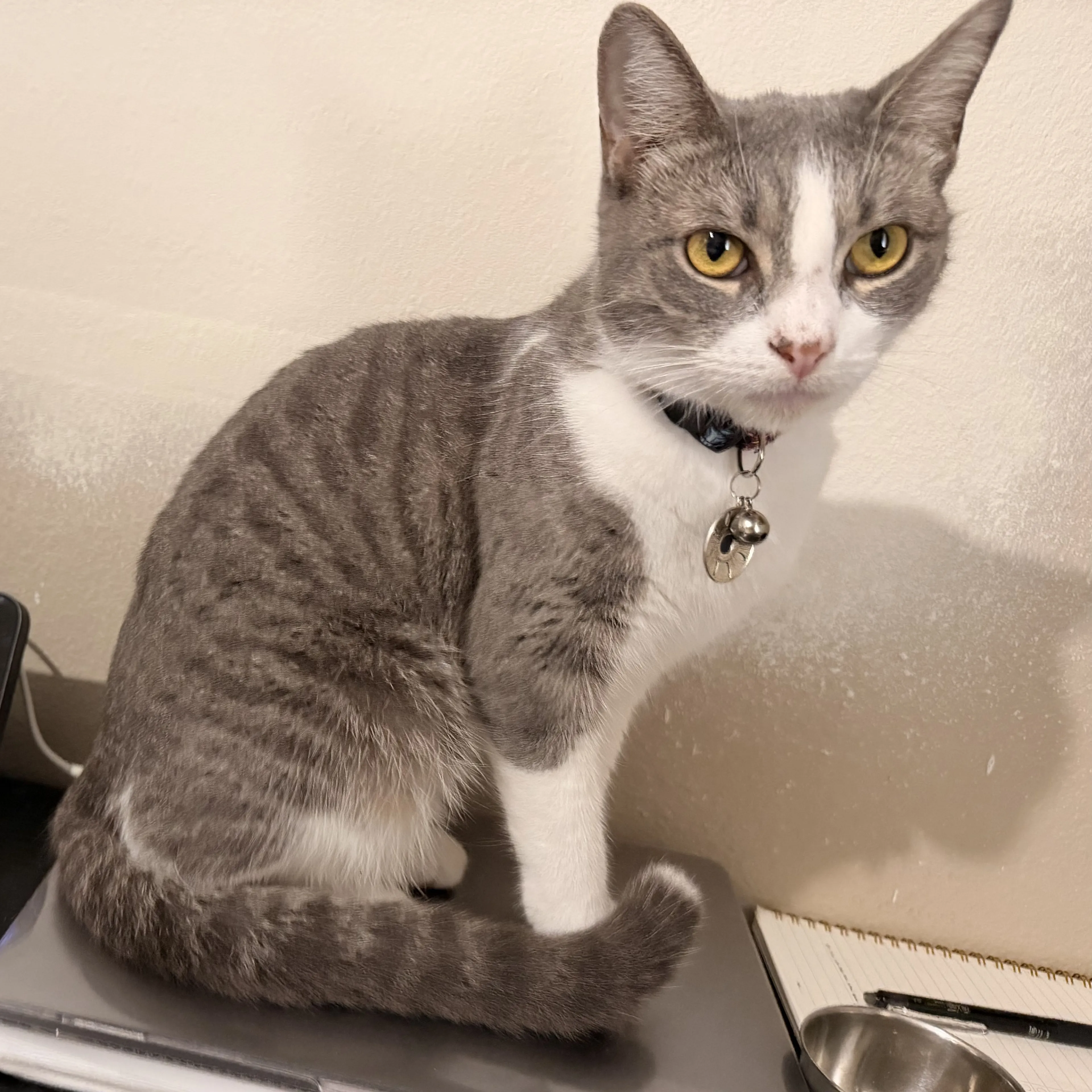 -1