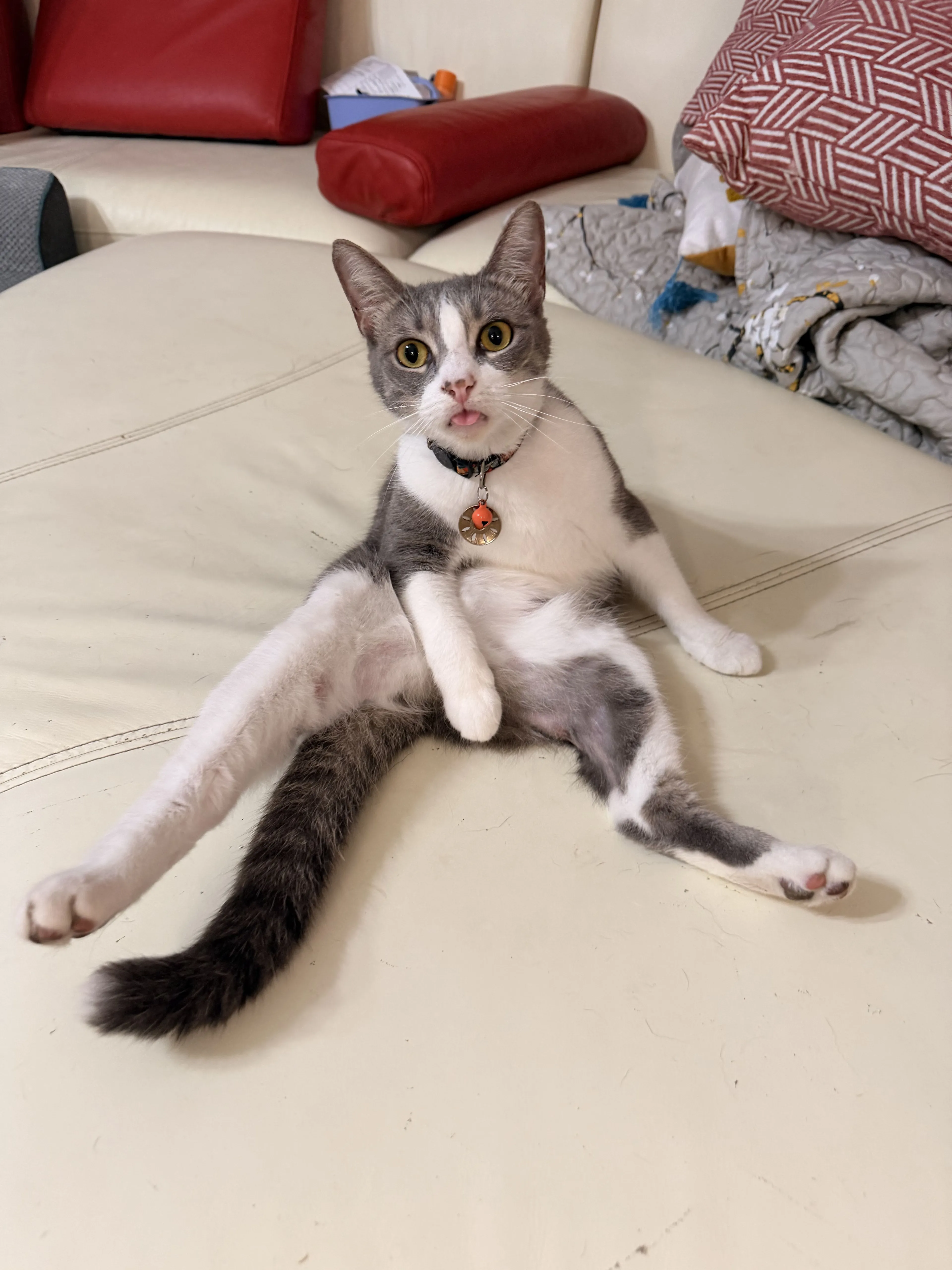 -3
