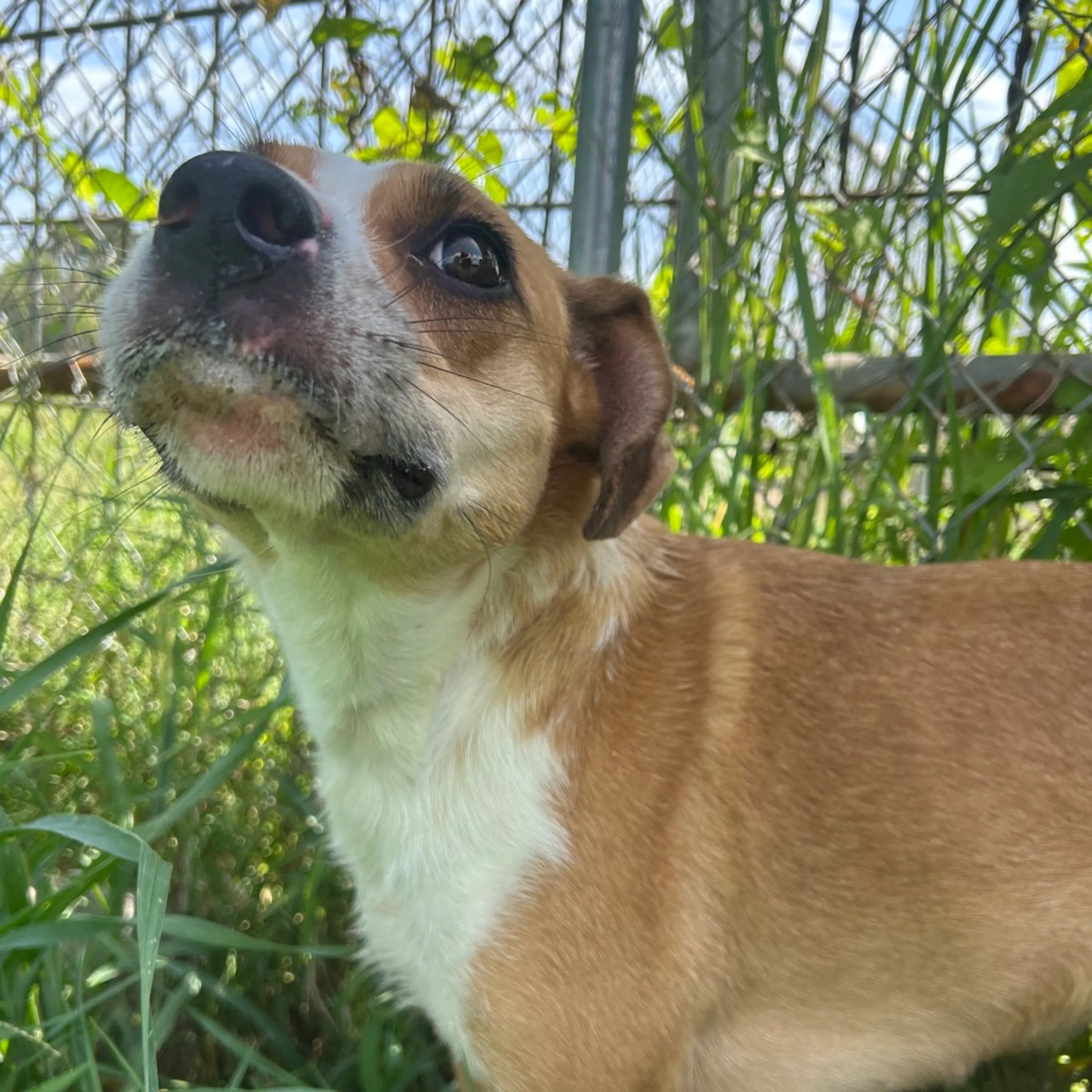 -3