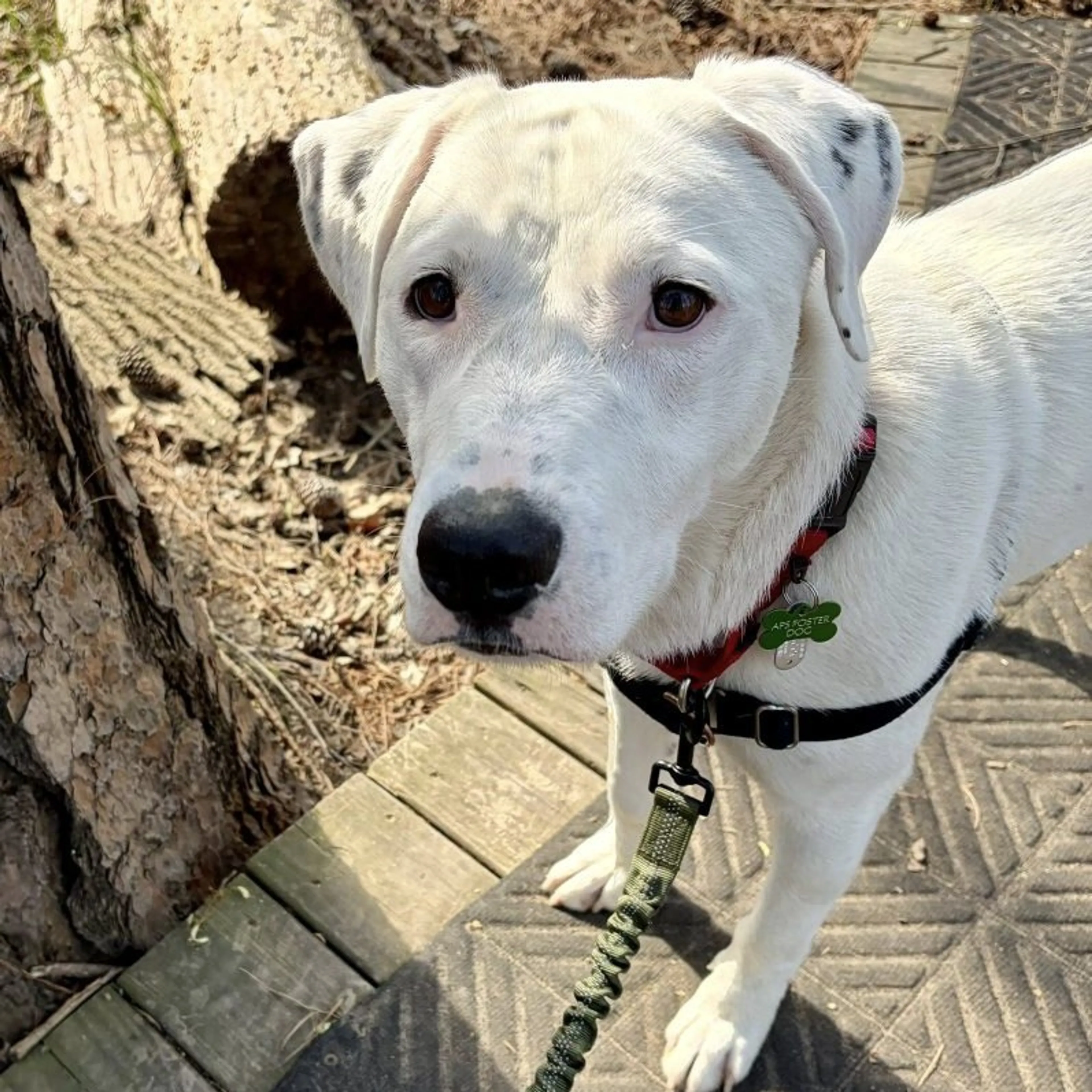 -3