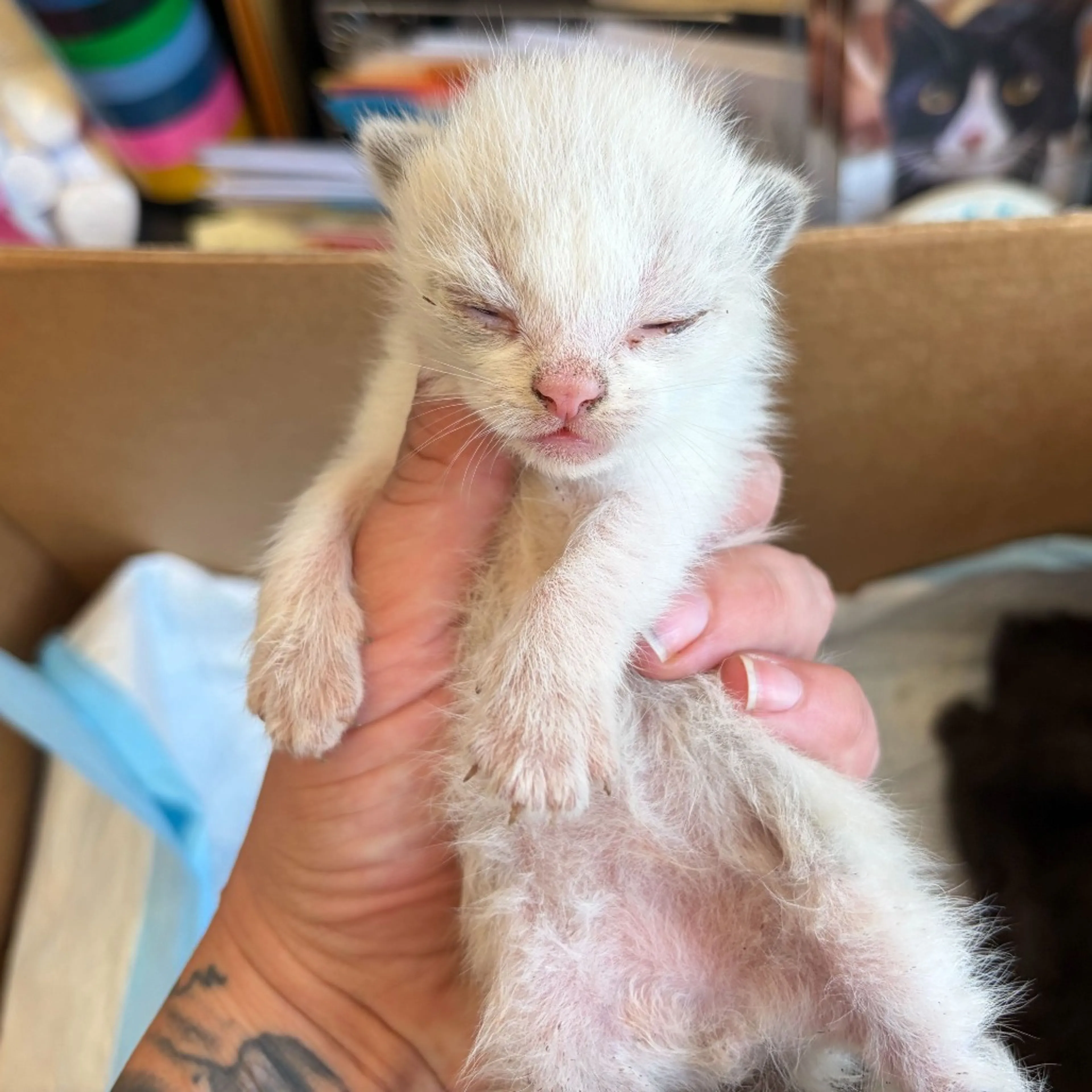 -1