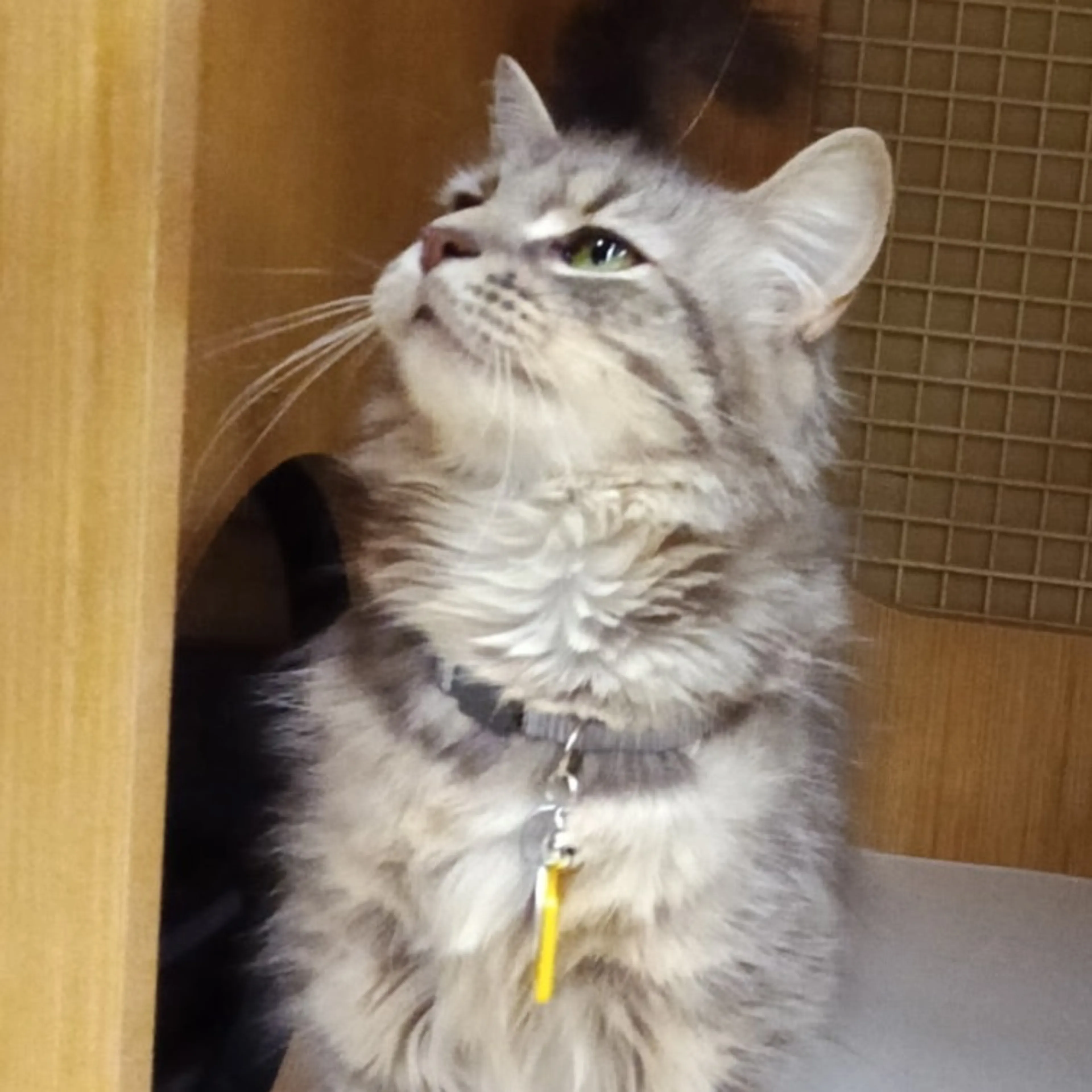 -0