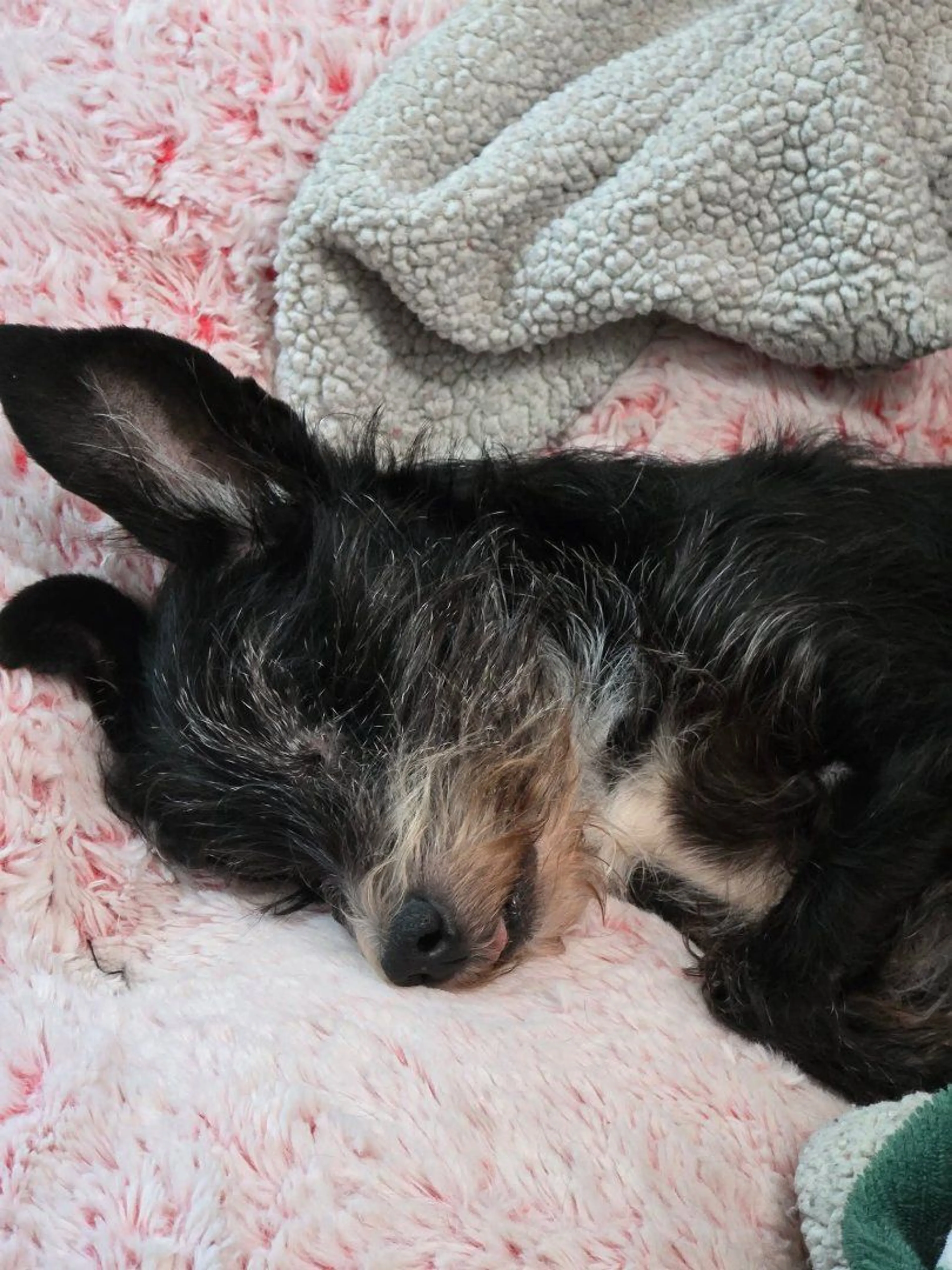 -3