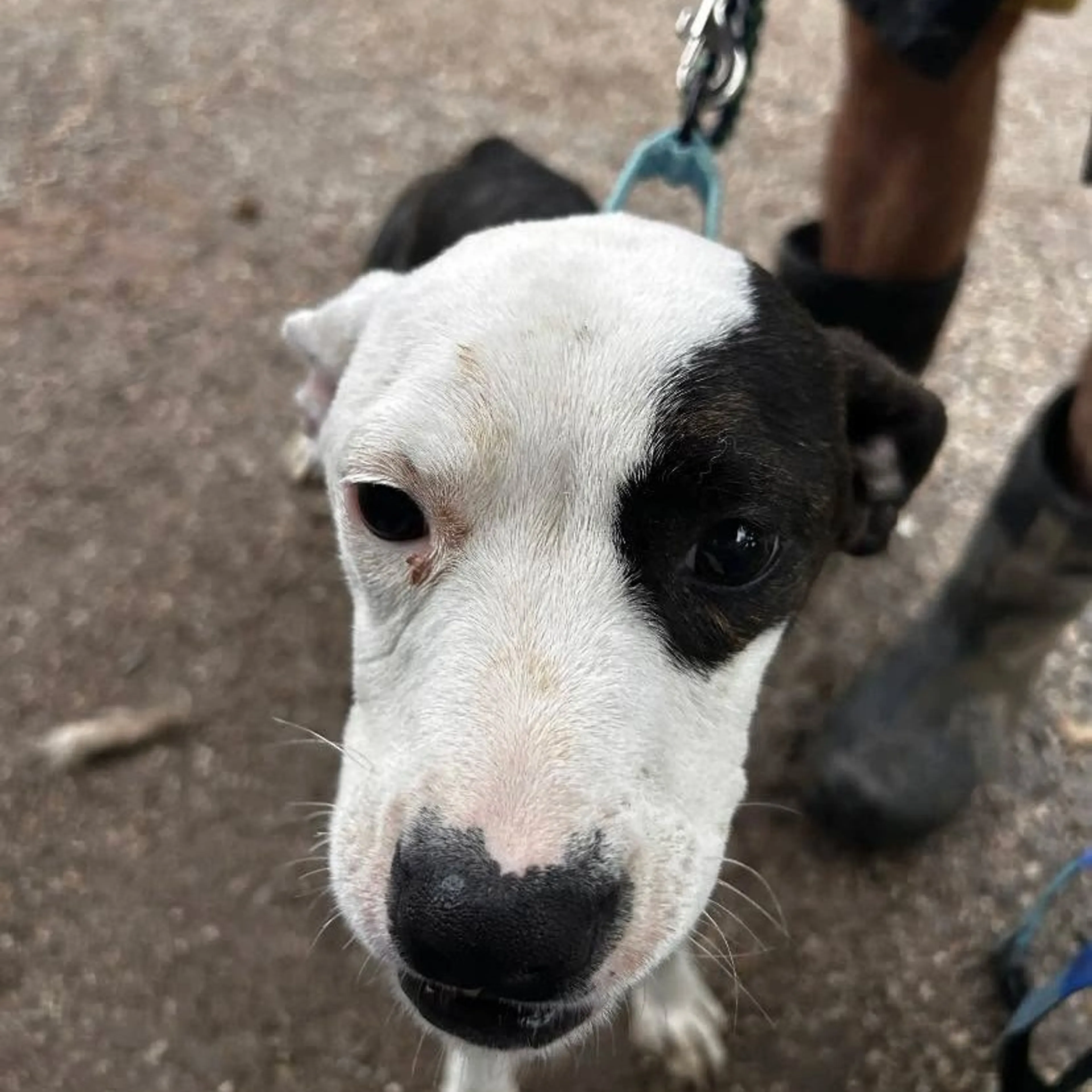 -1