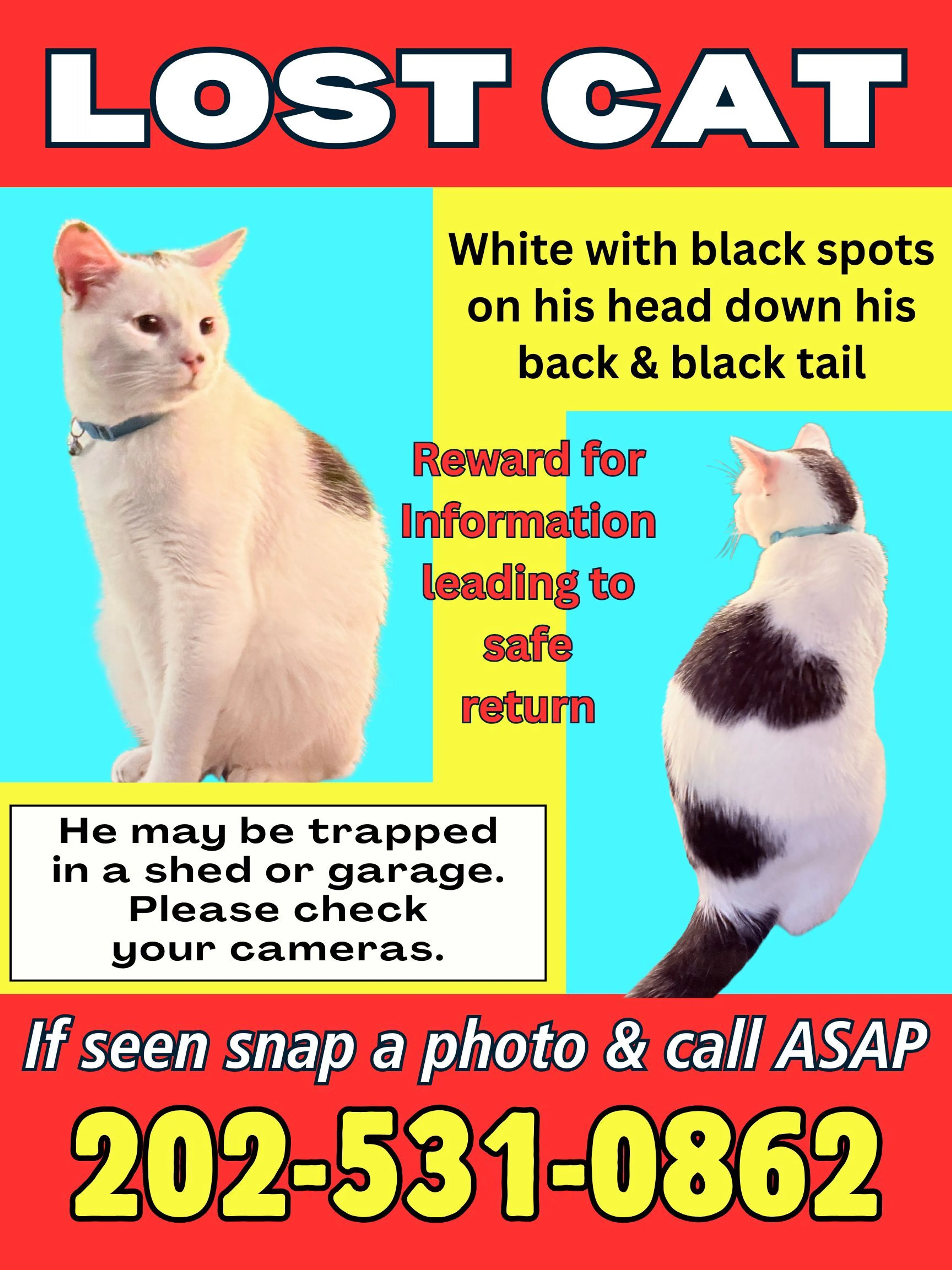 cdn image