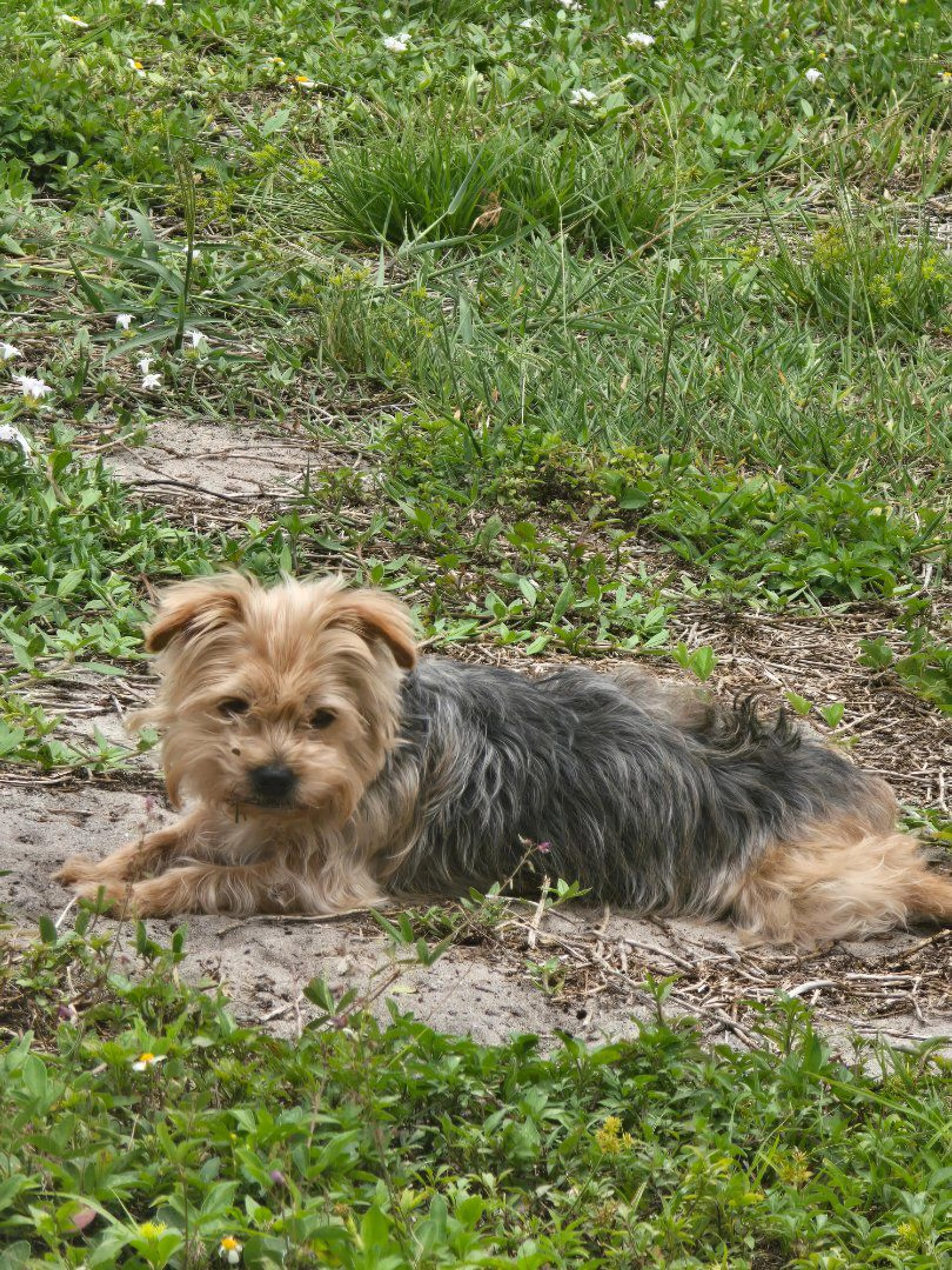 -1