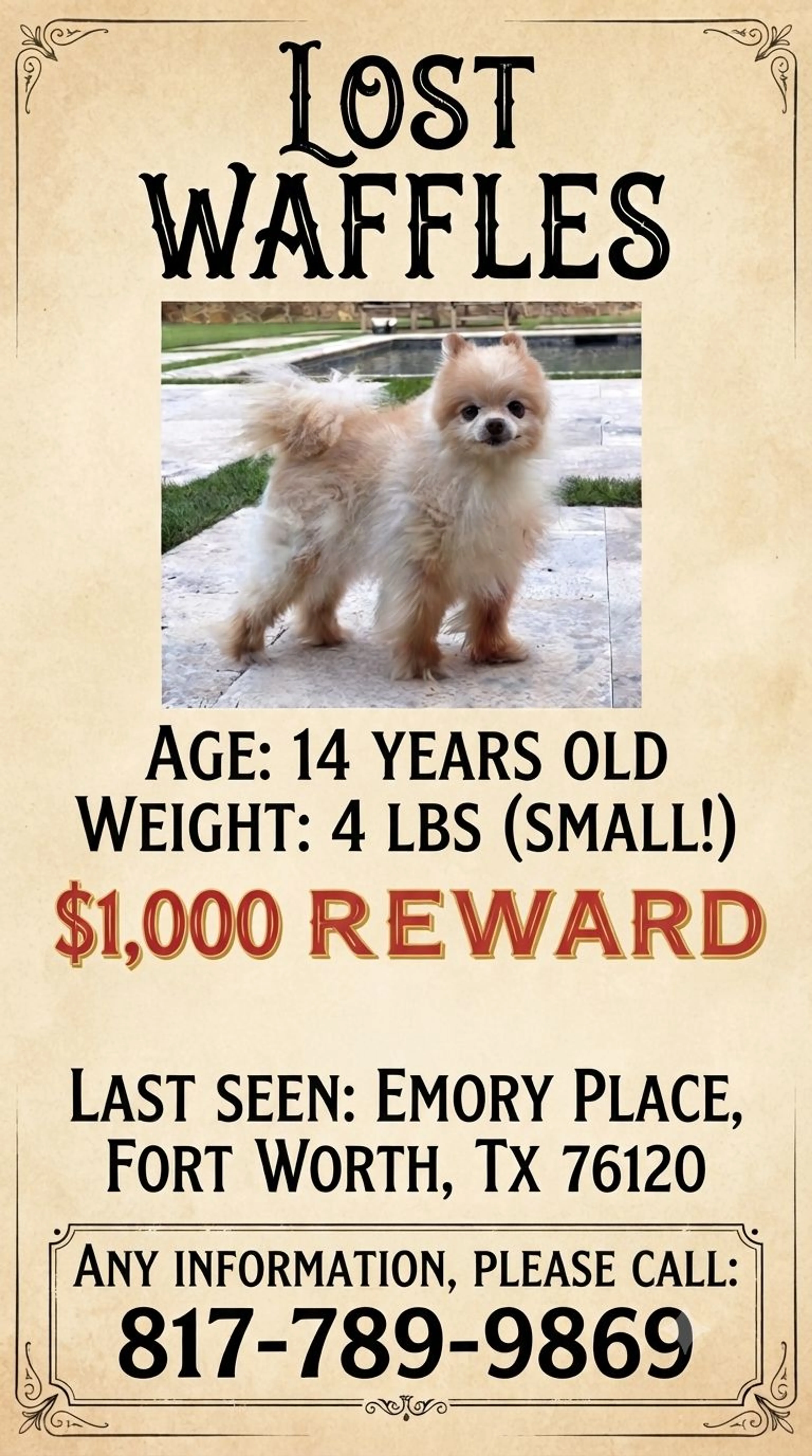 cdn image