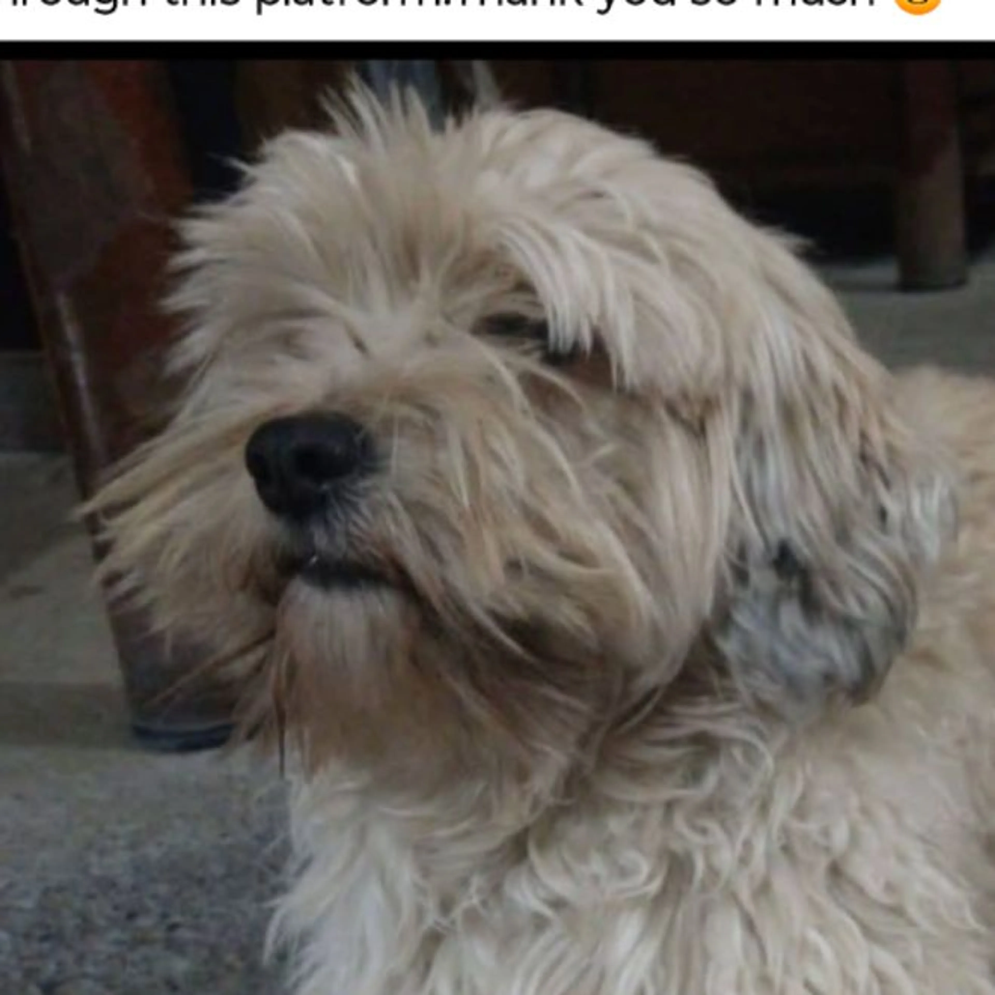 -0