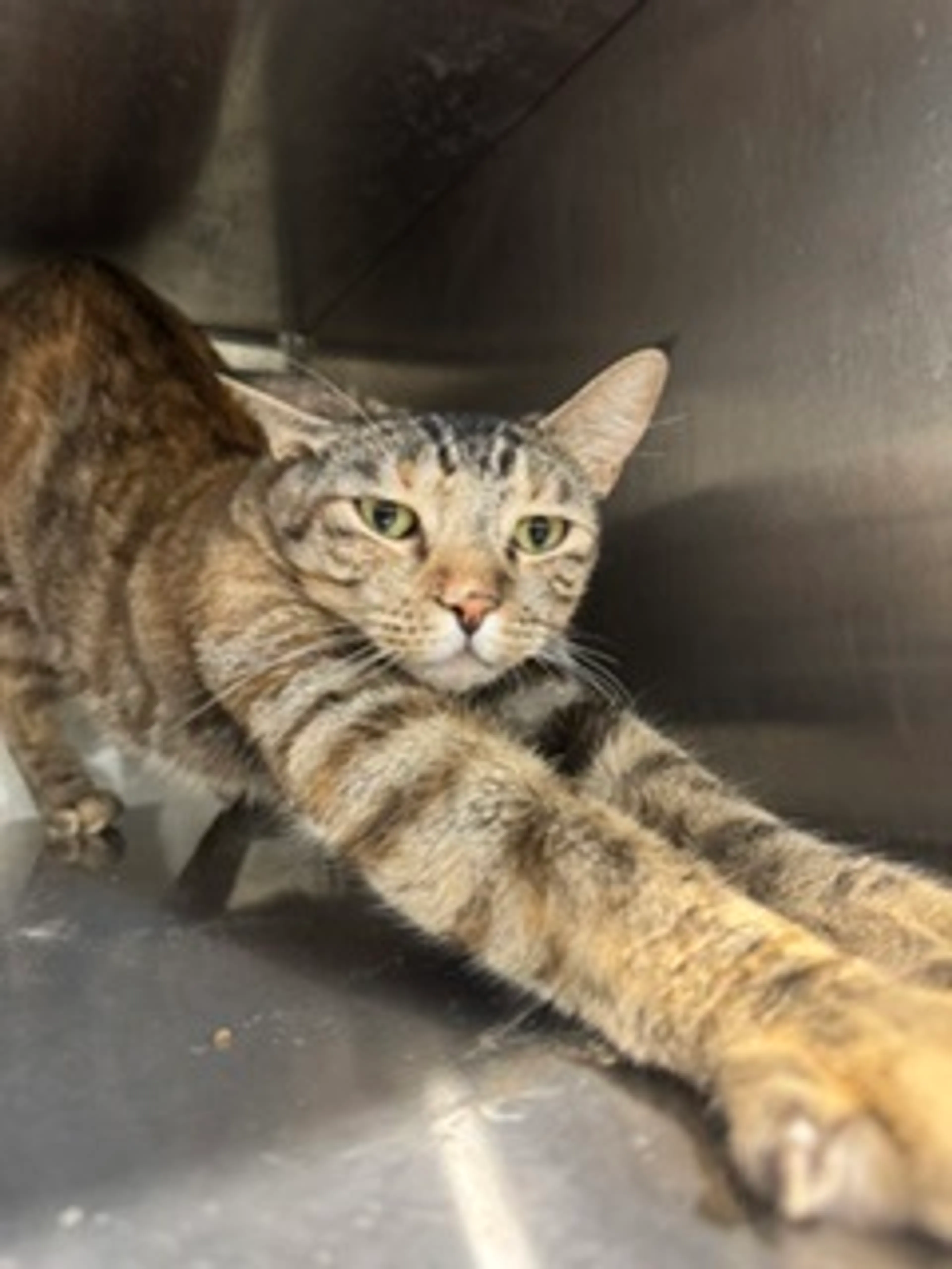 -2
