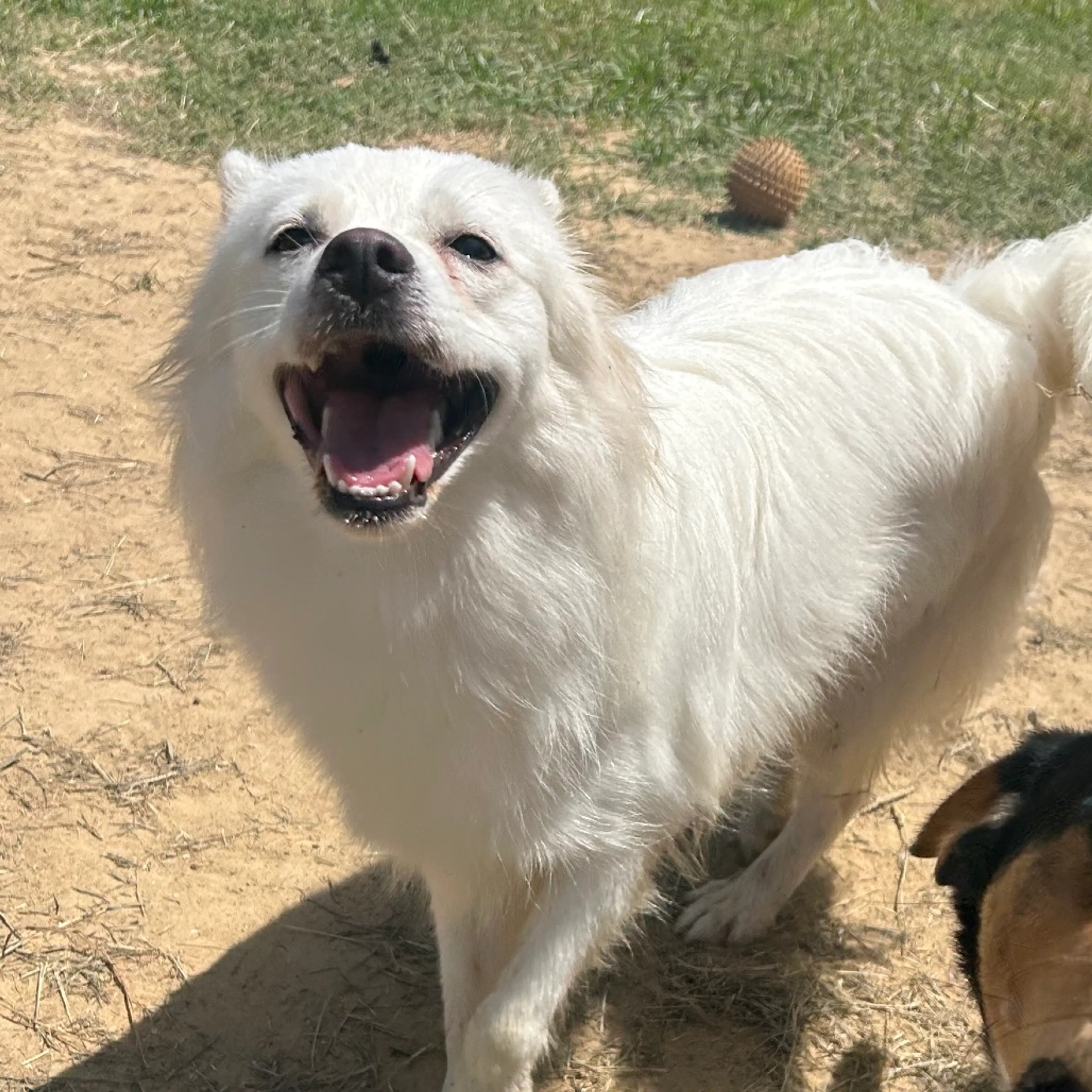 -3