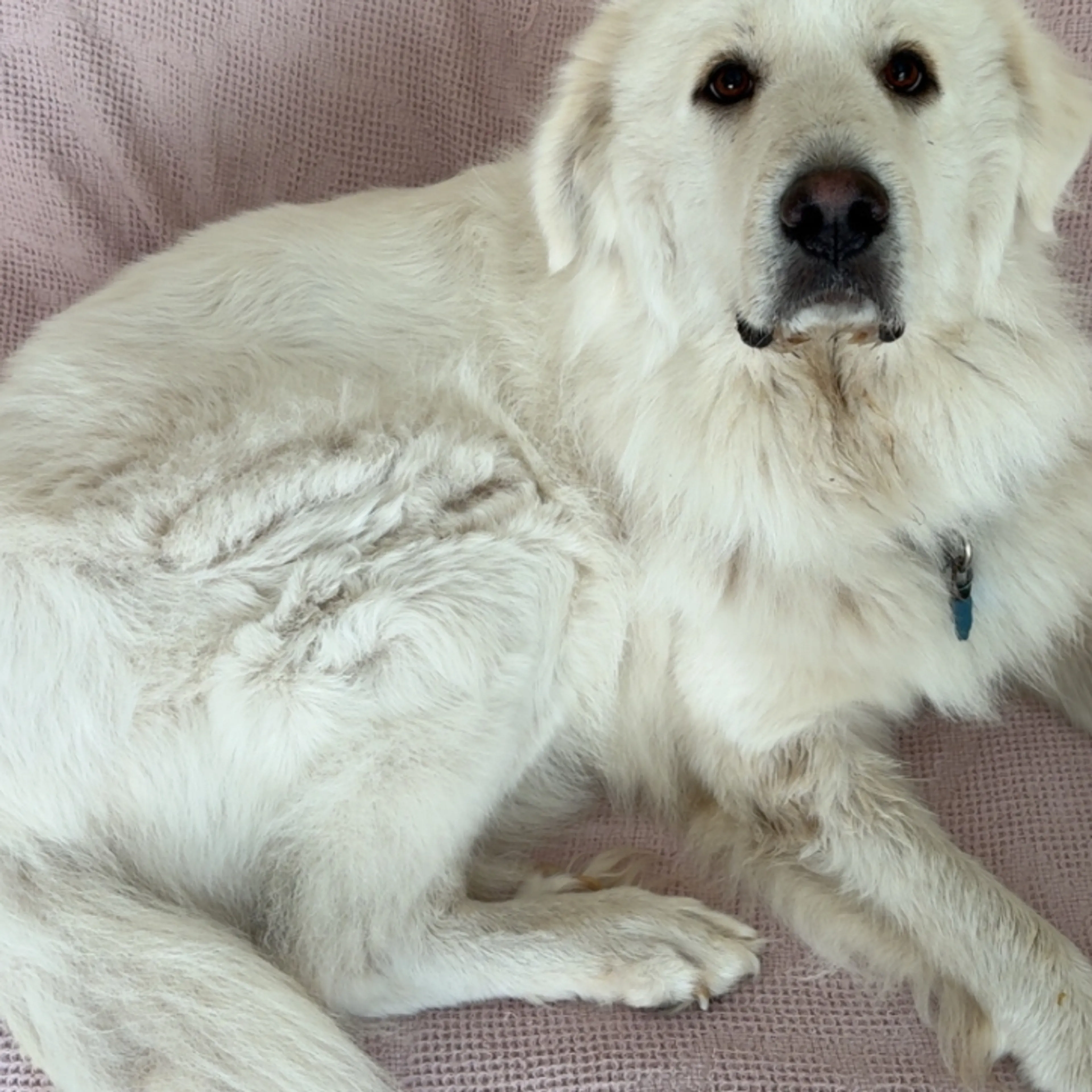-1
