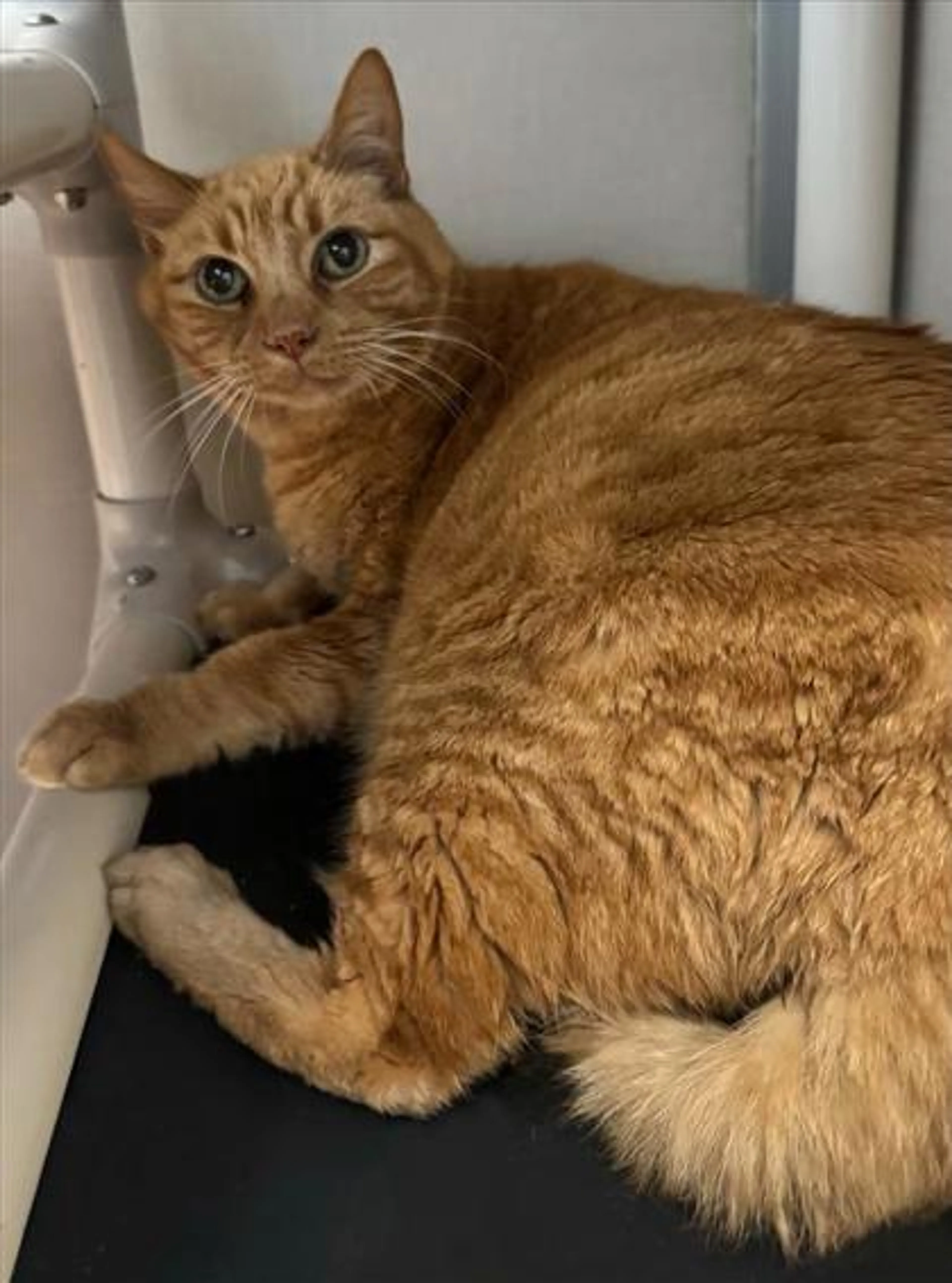 -0