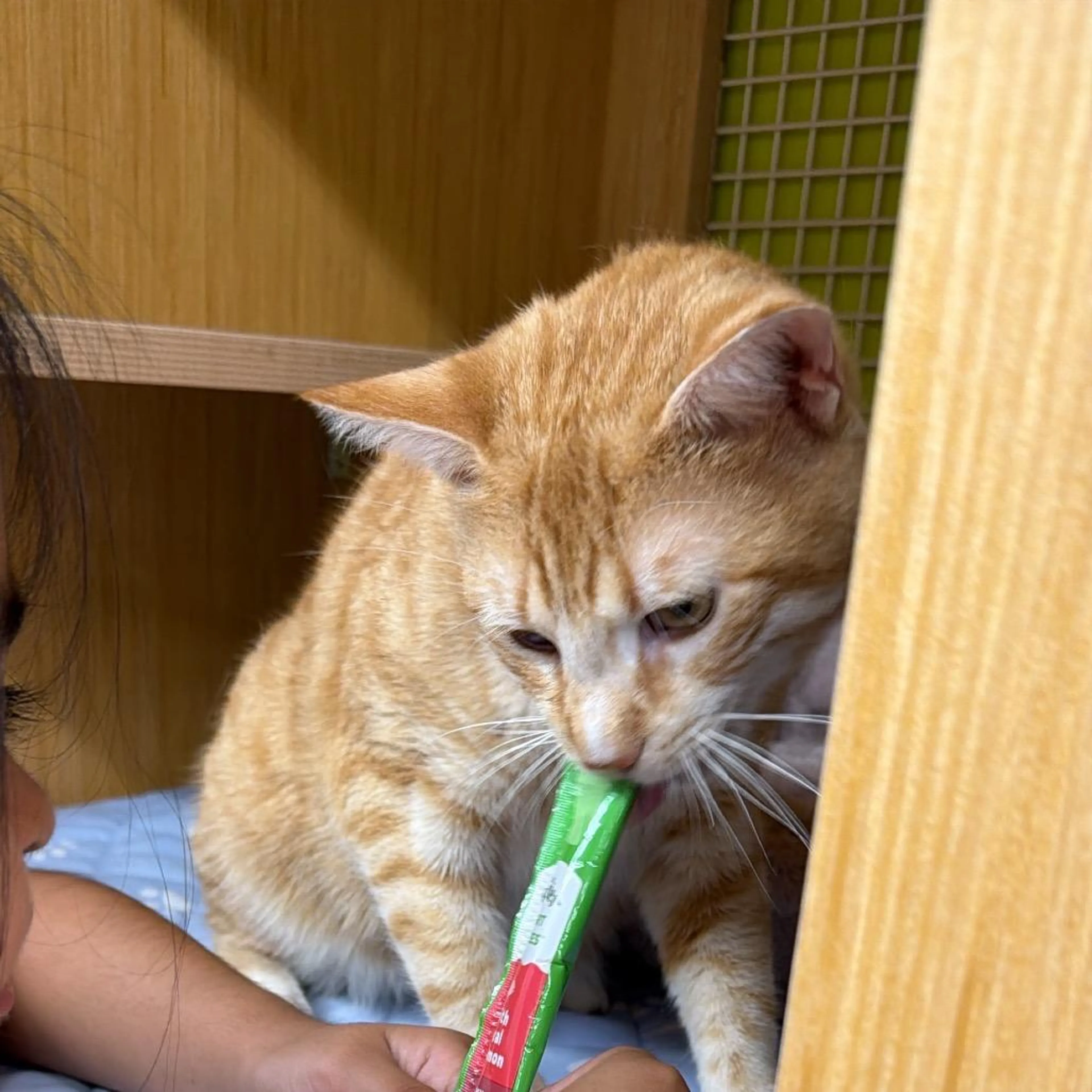 -4