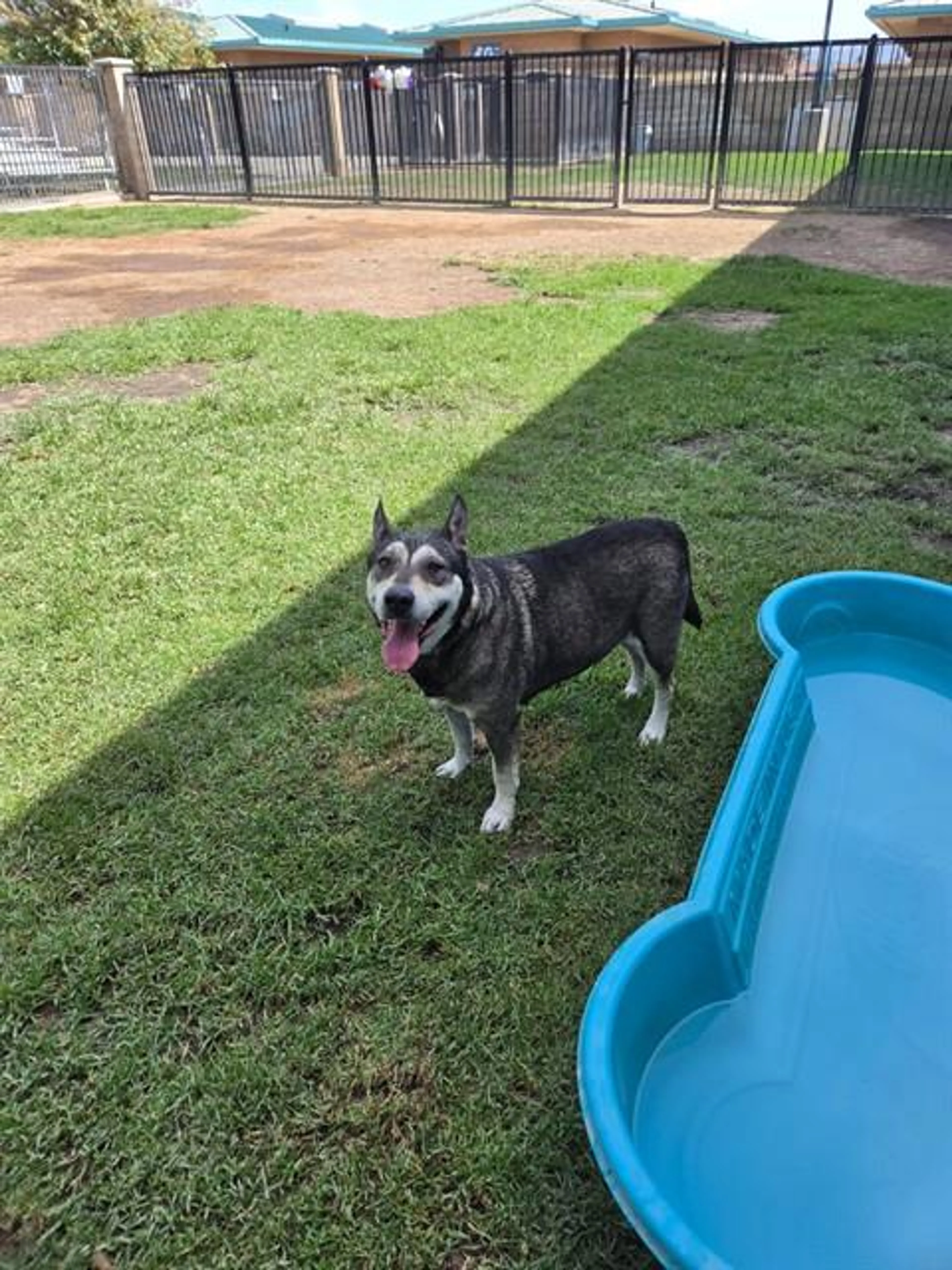 cdn image