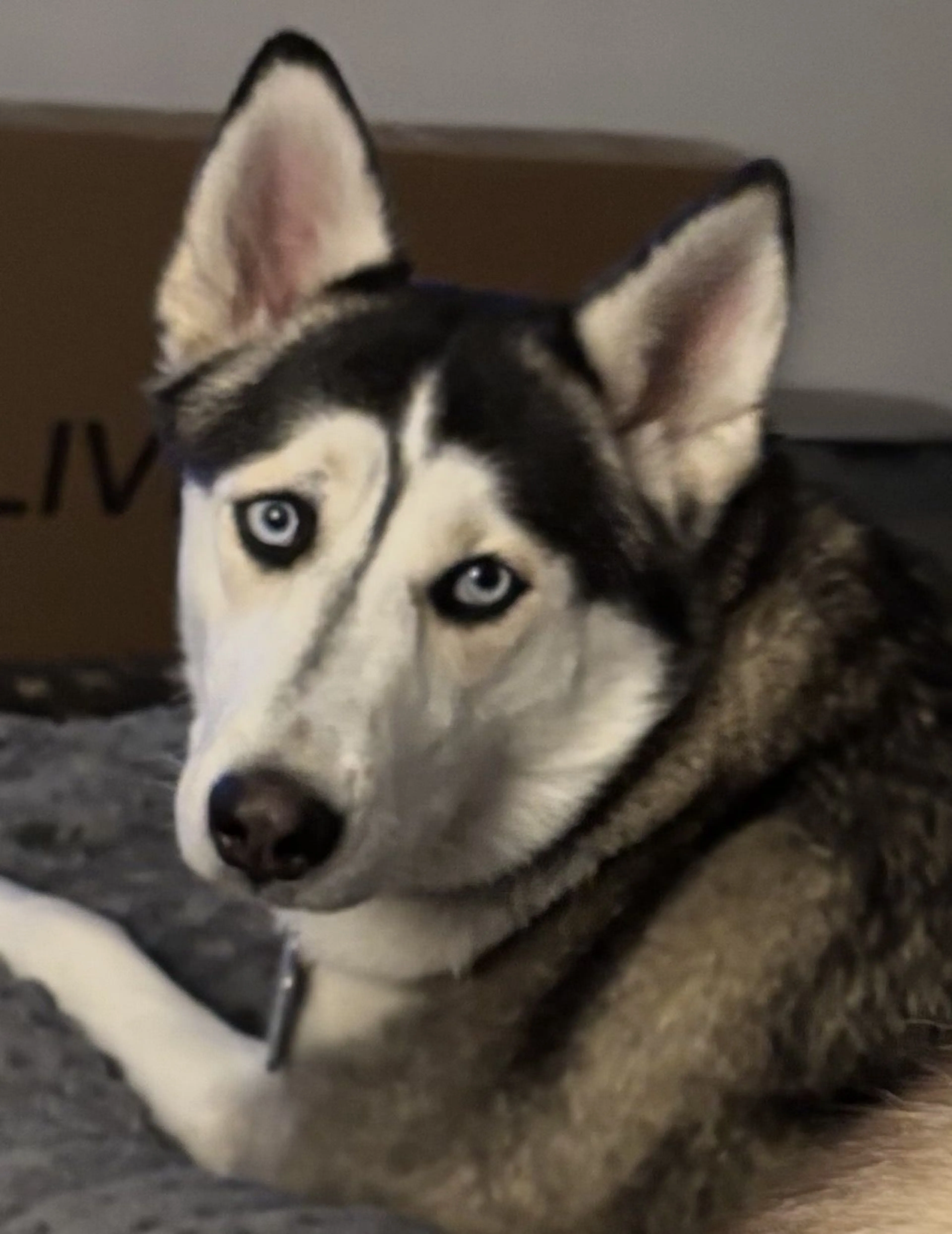 -1