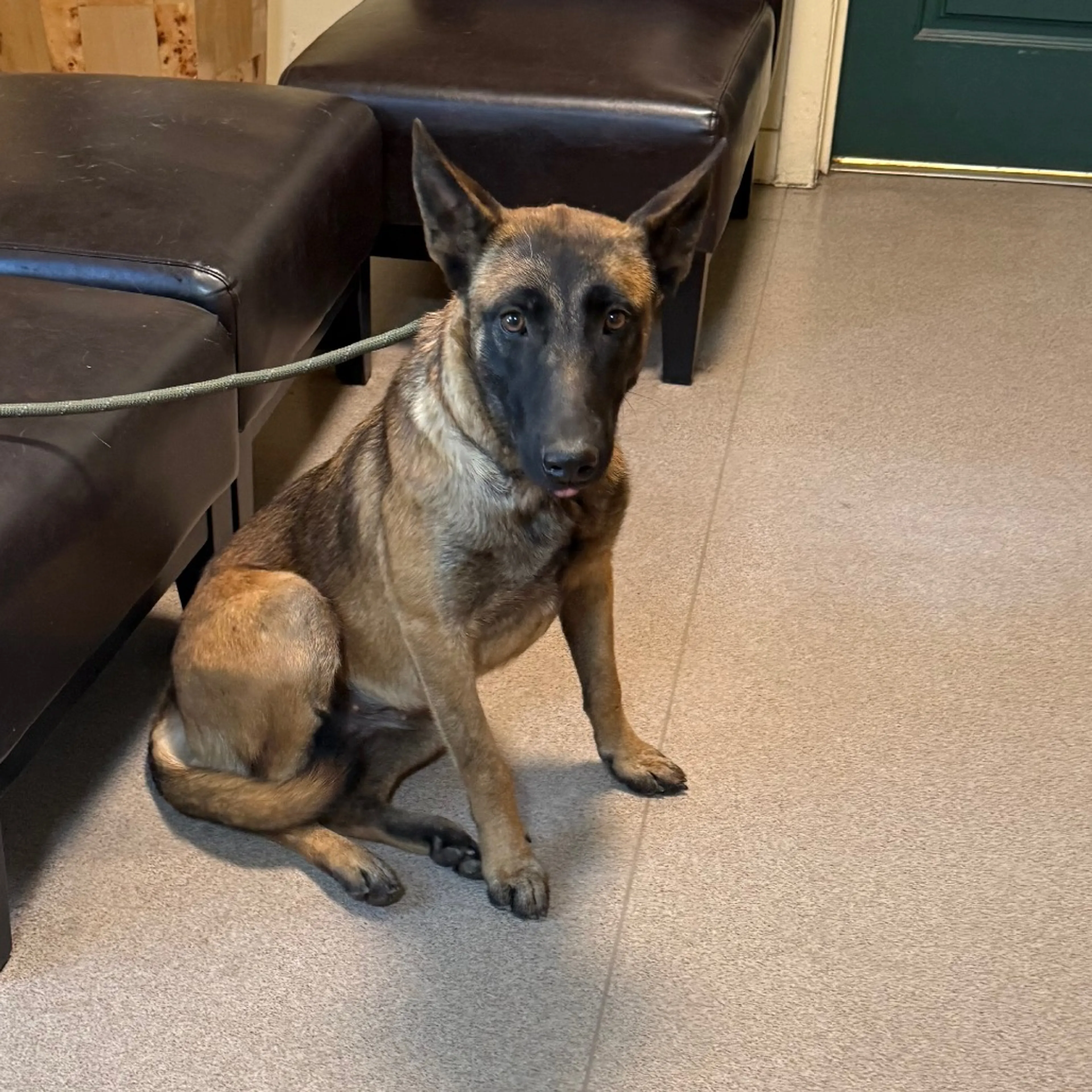 cdn image