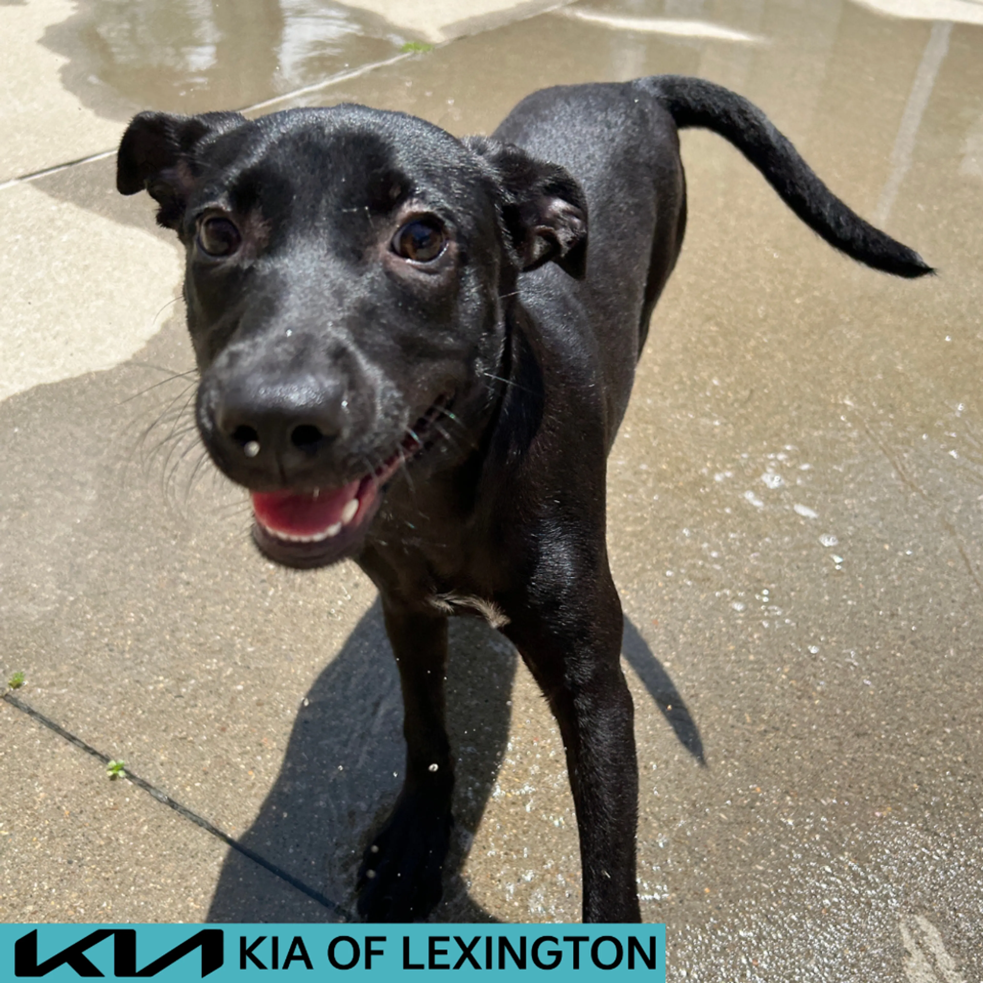 -0