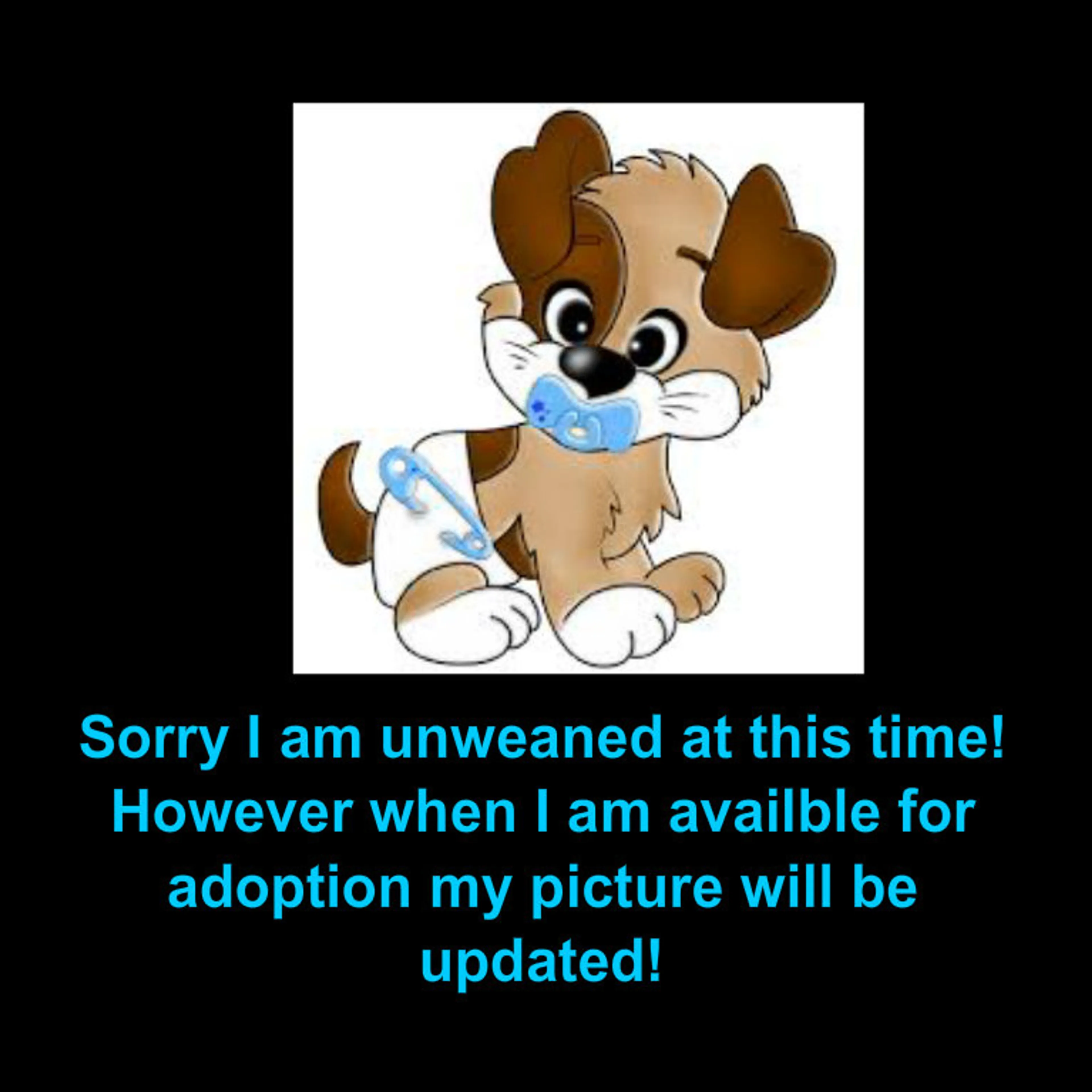 cdn image