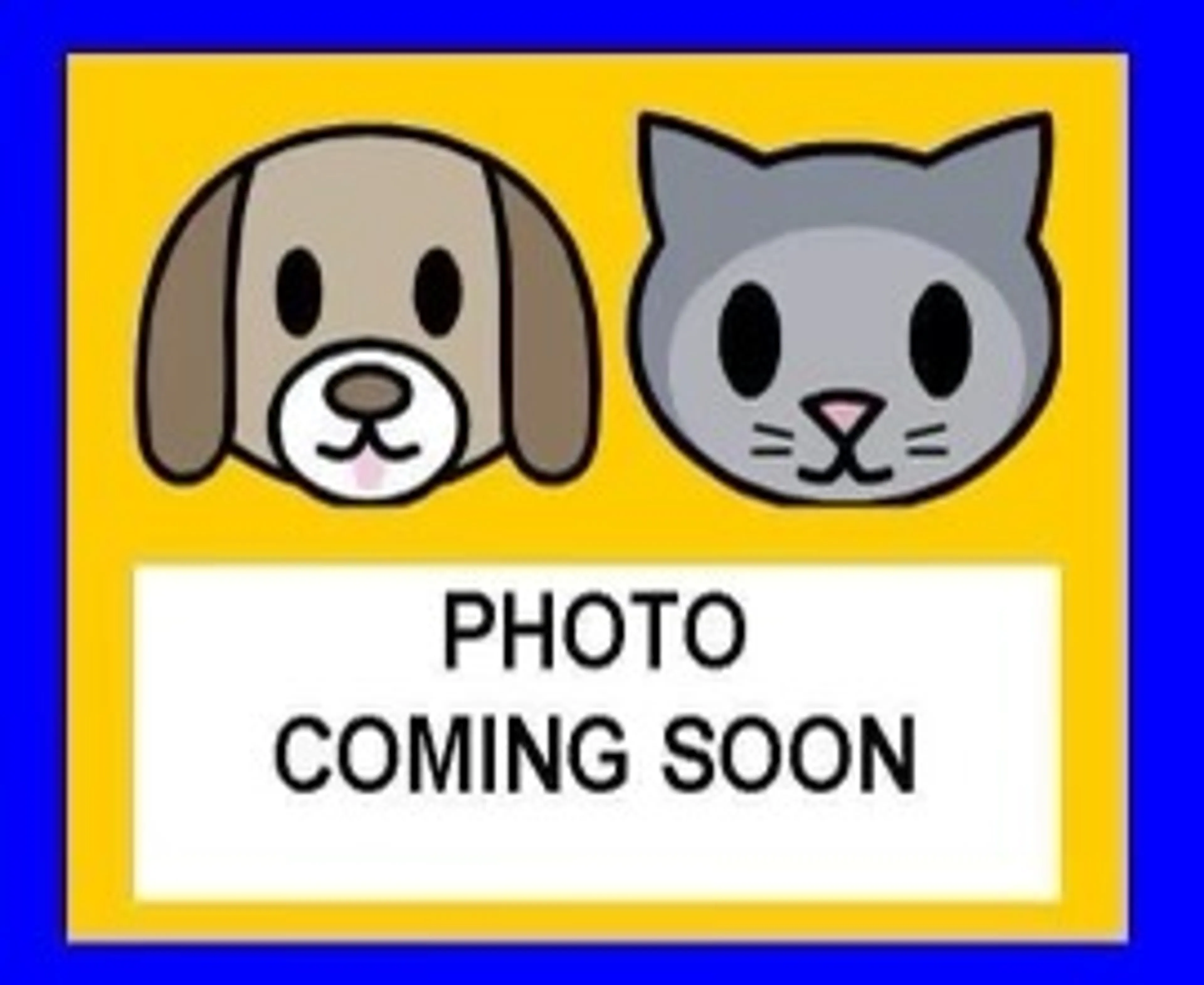 cdn image