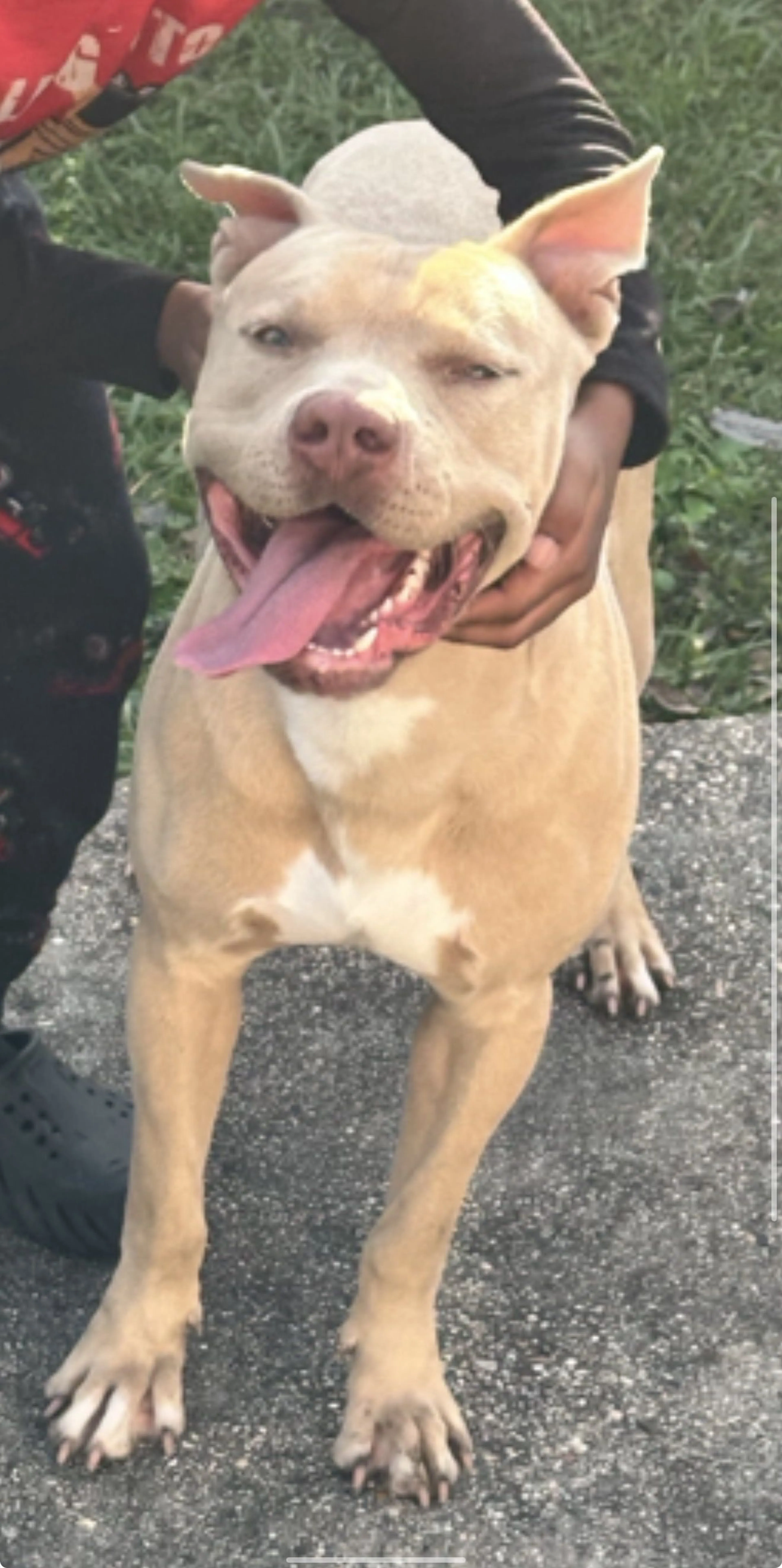 -3