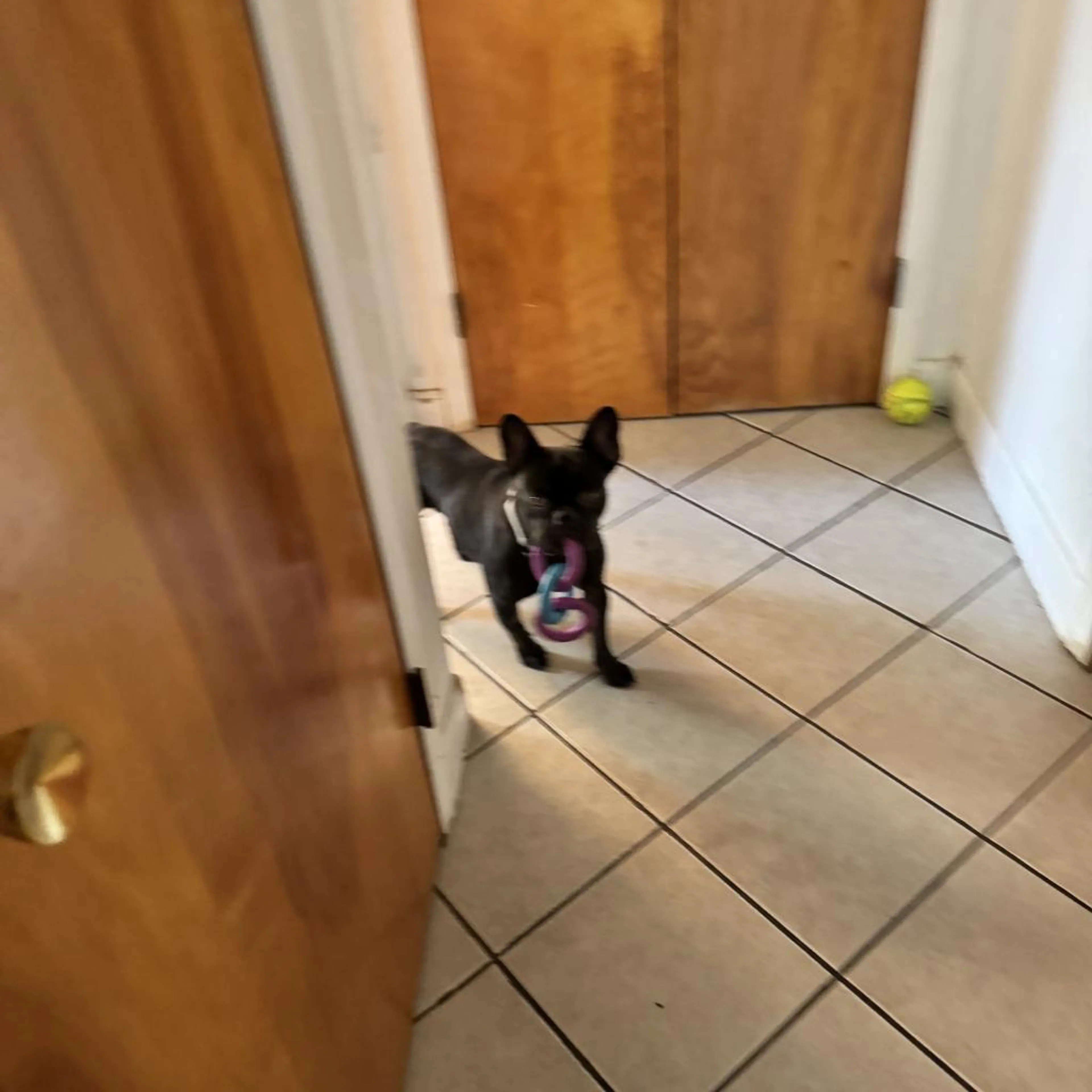 -14