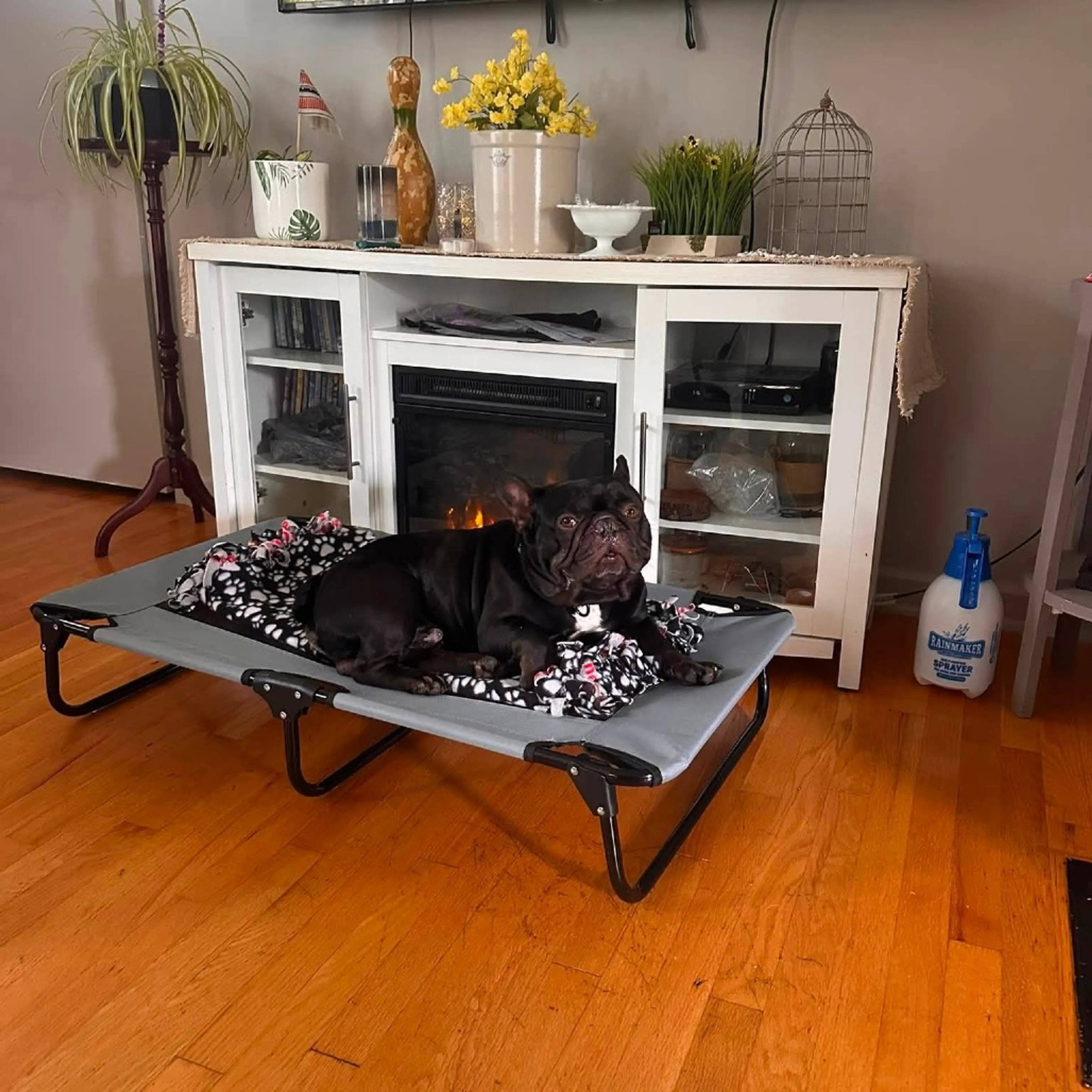-6