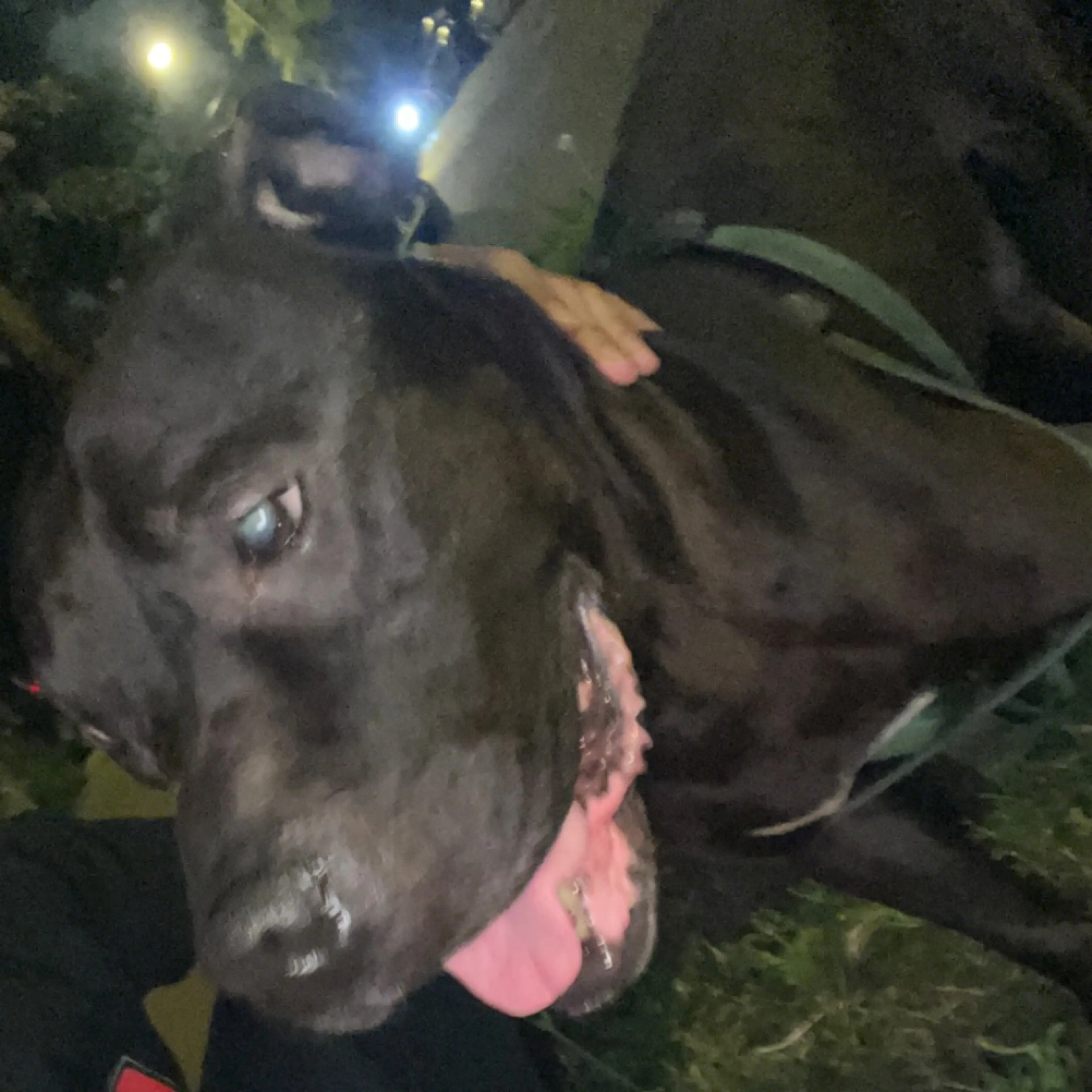 -0