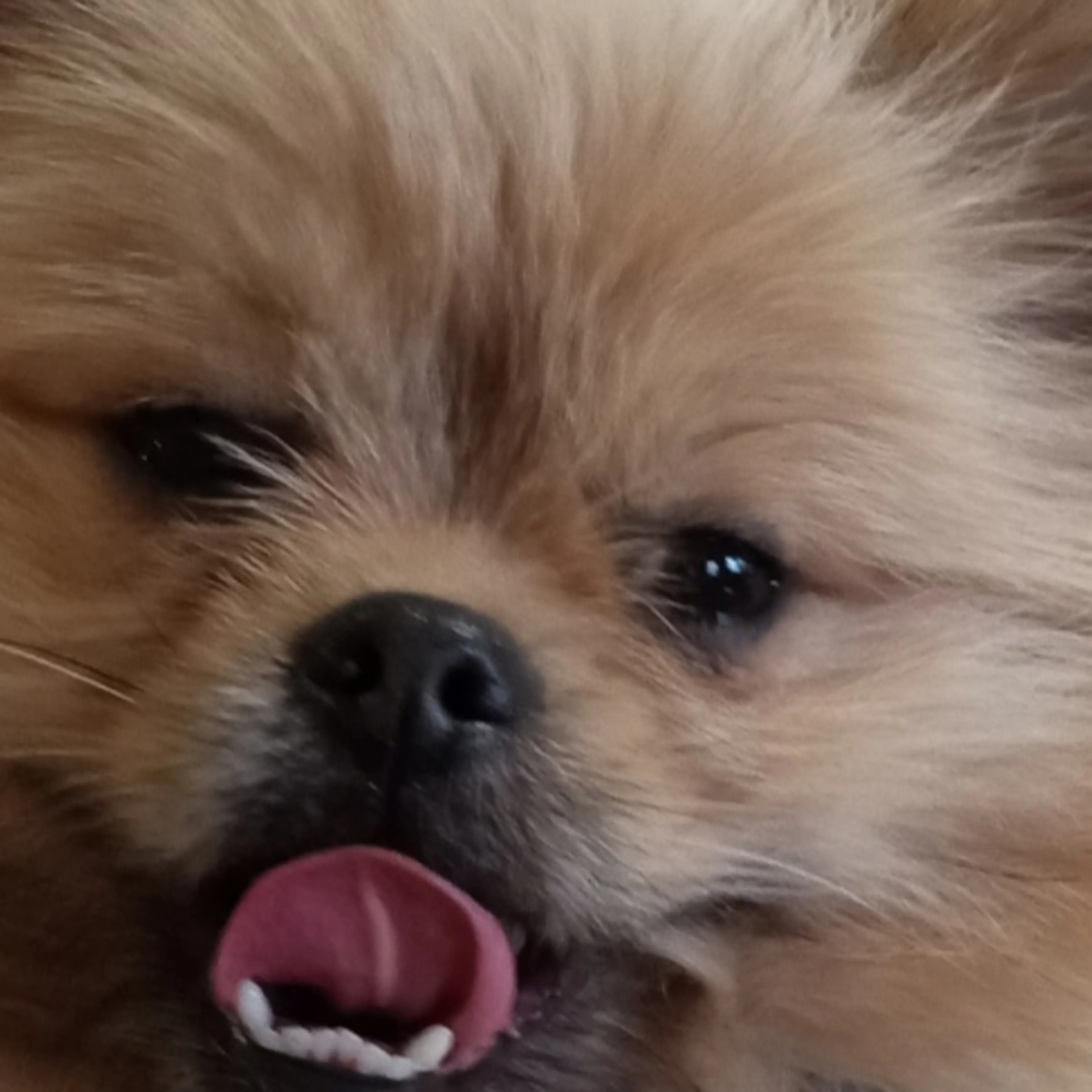 -1