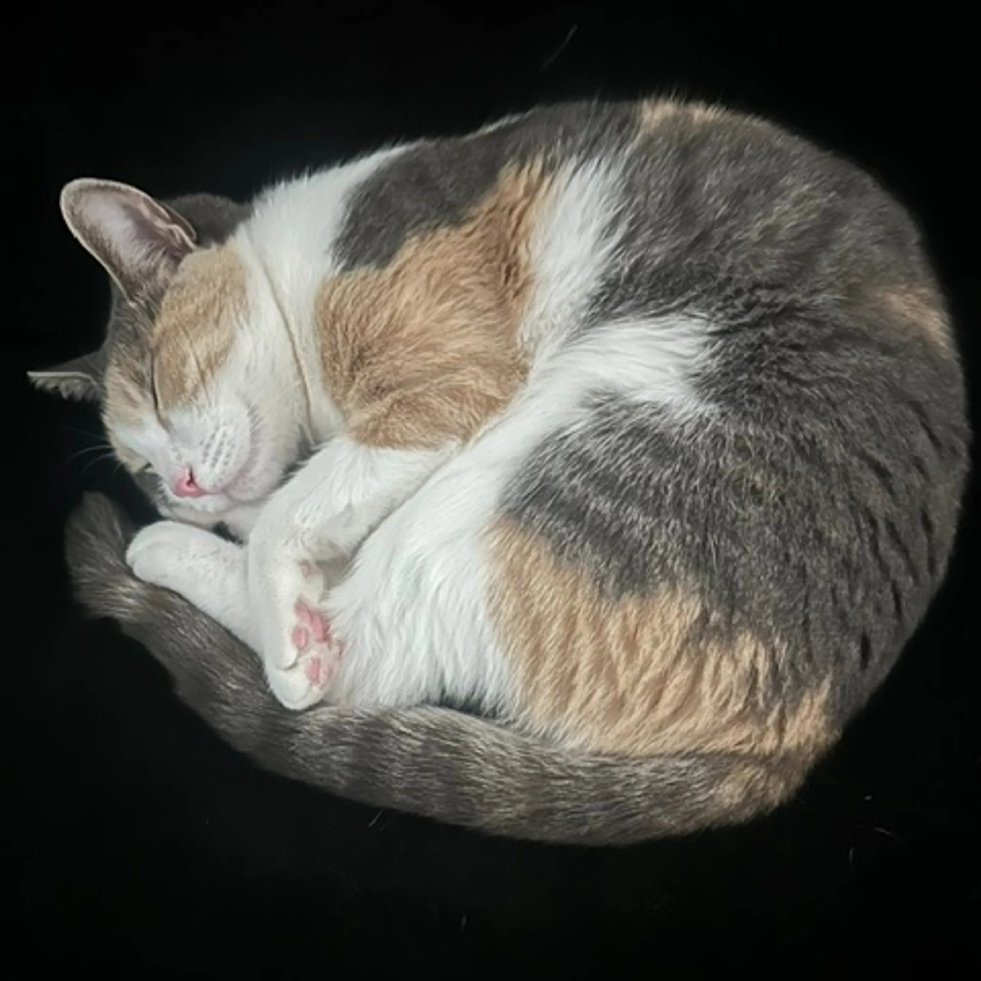 -3