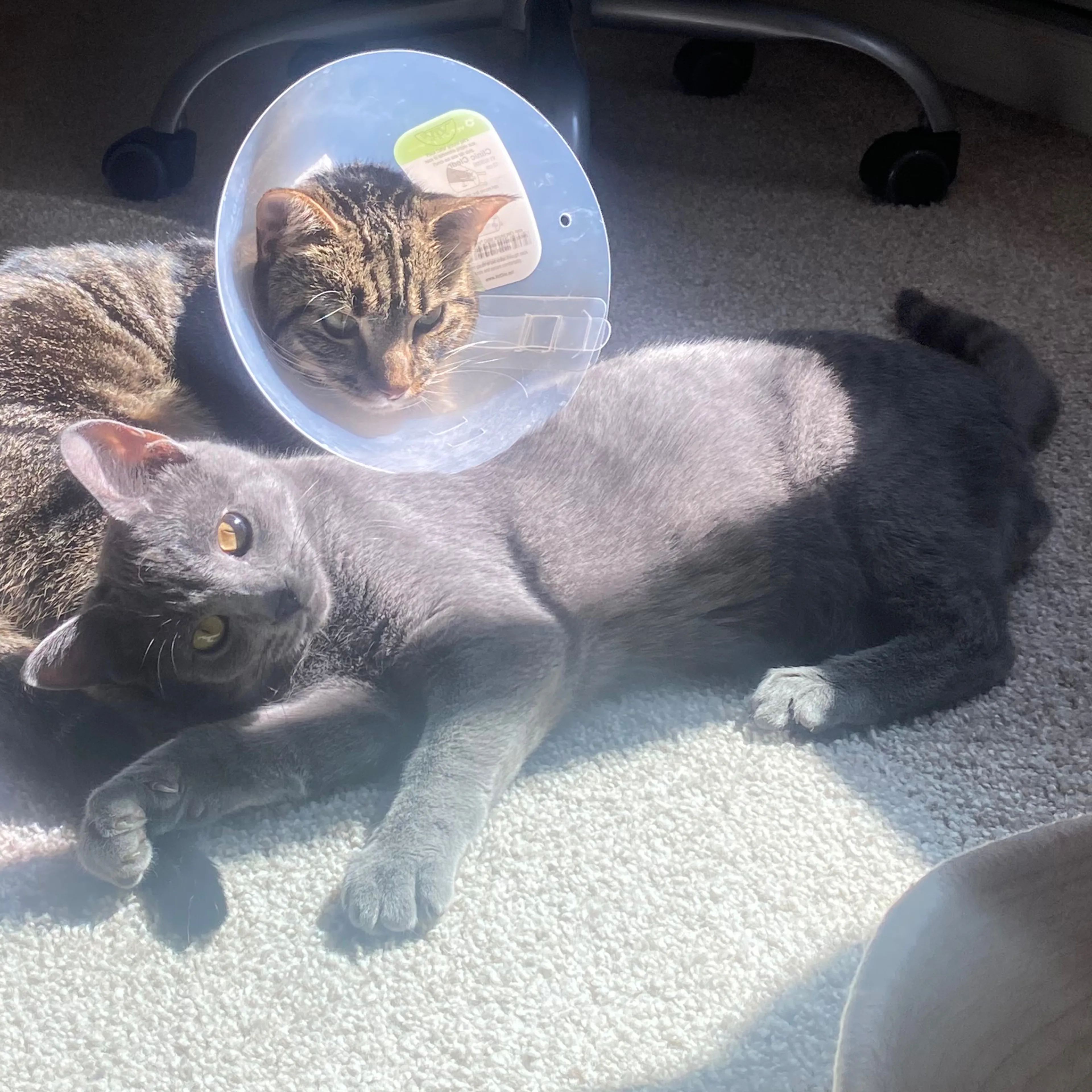 -1