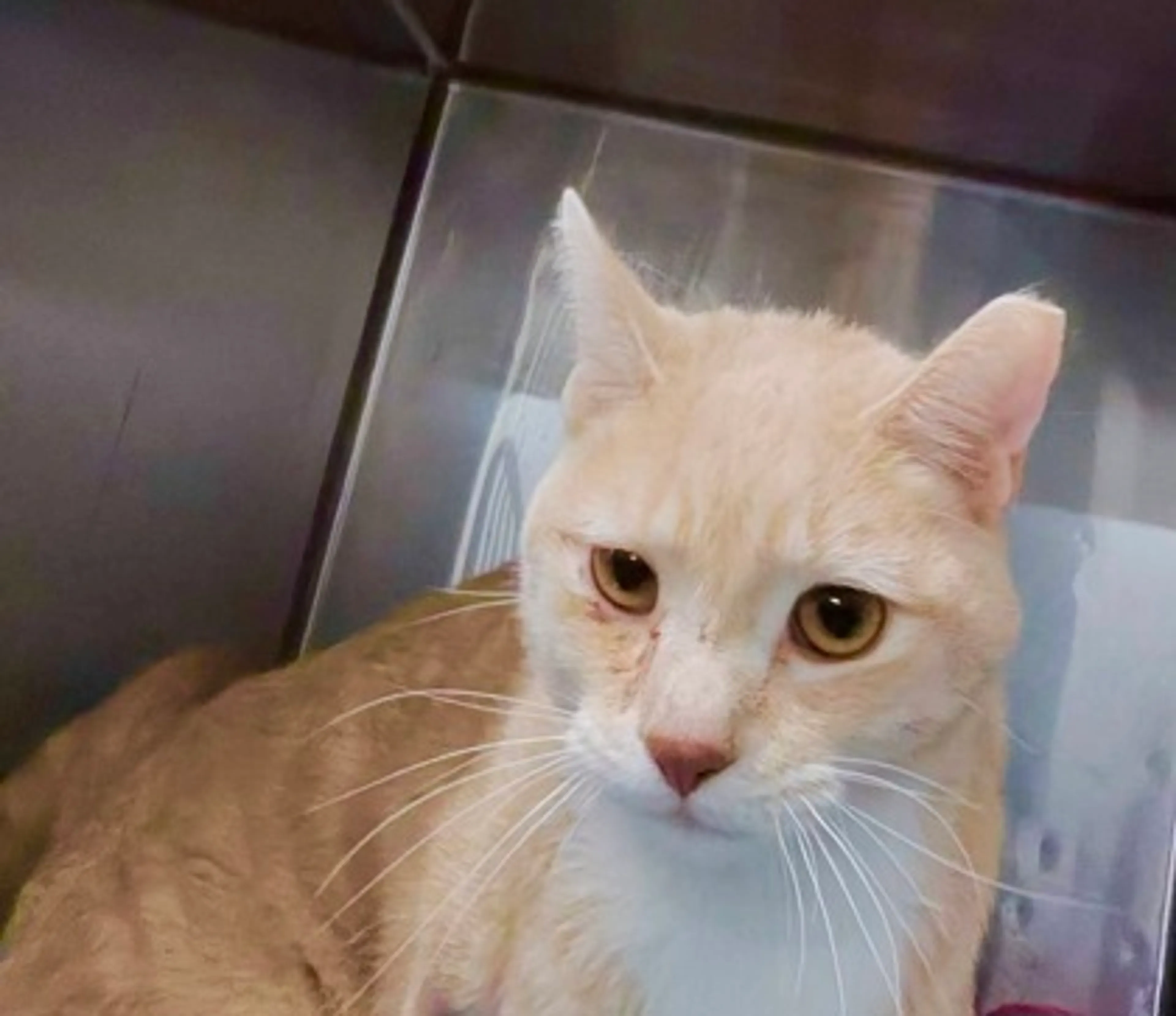 -0