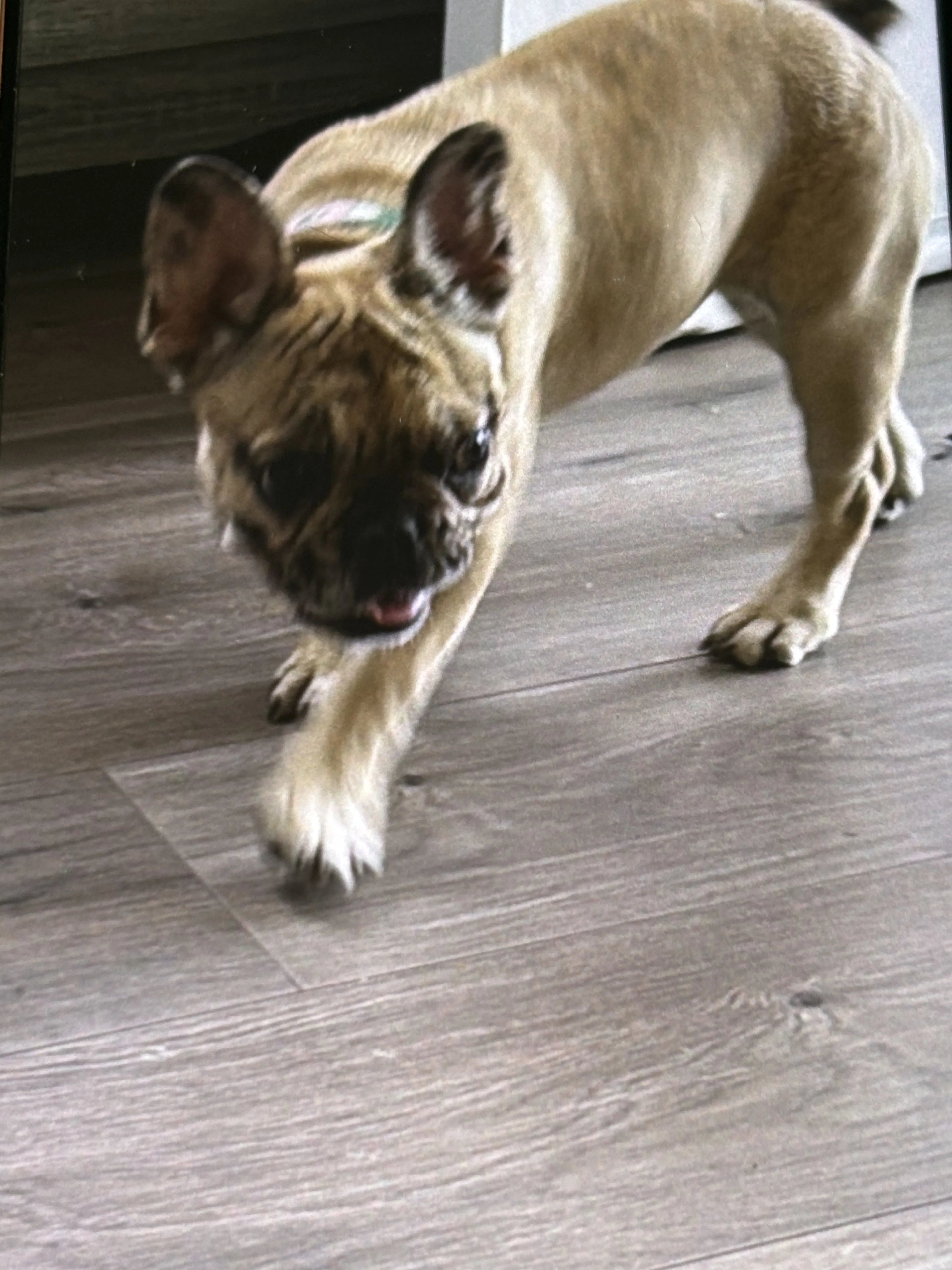 -0