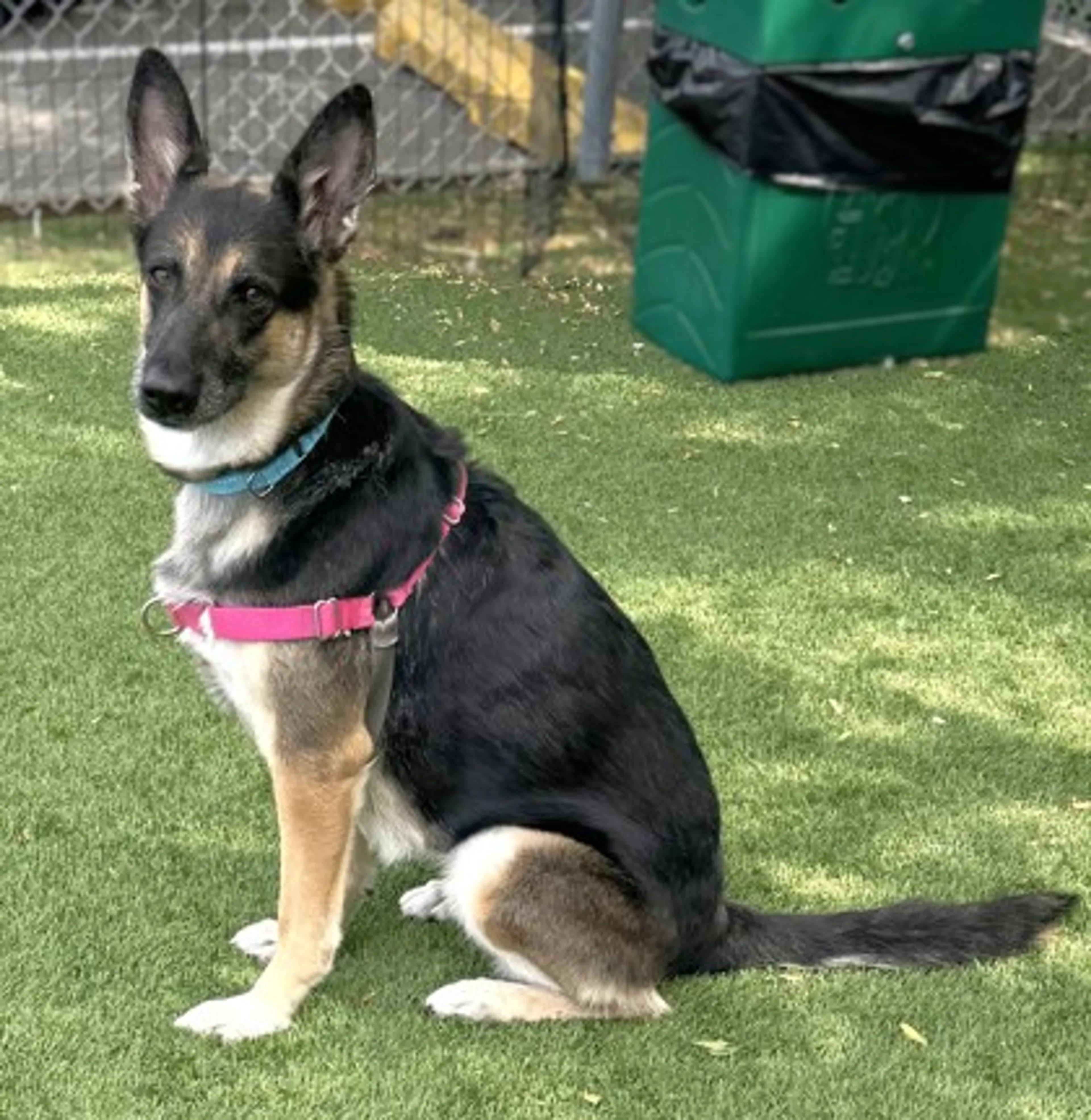 -1