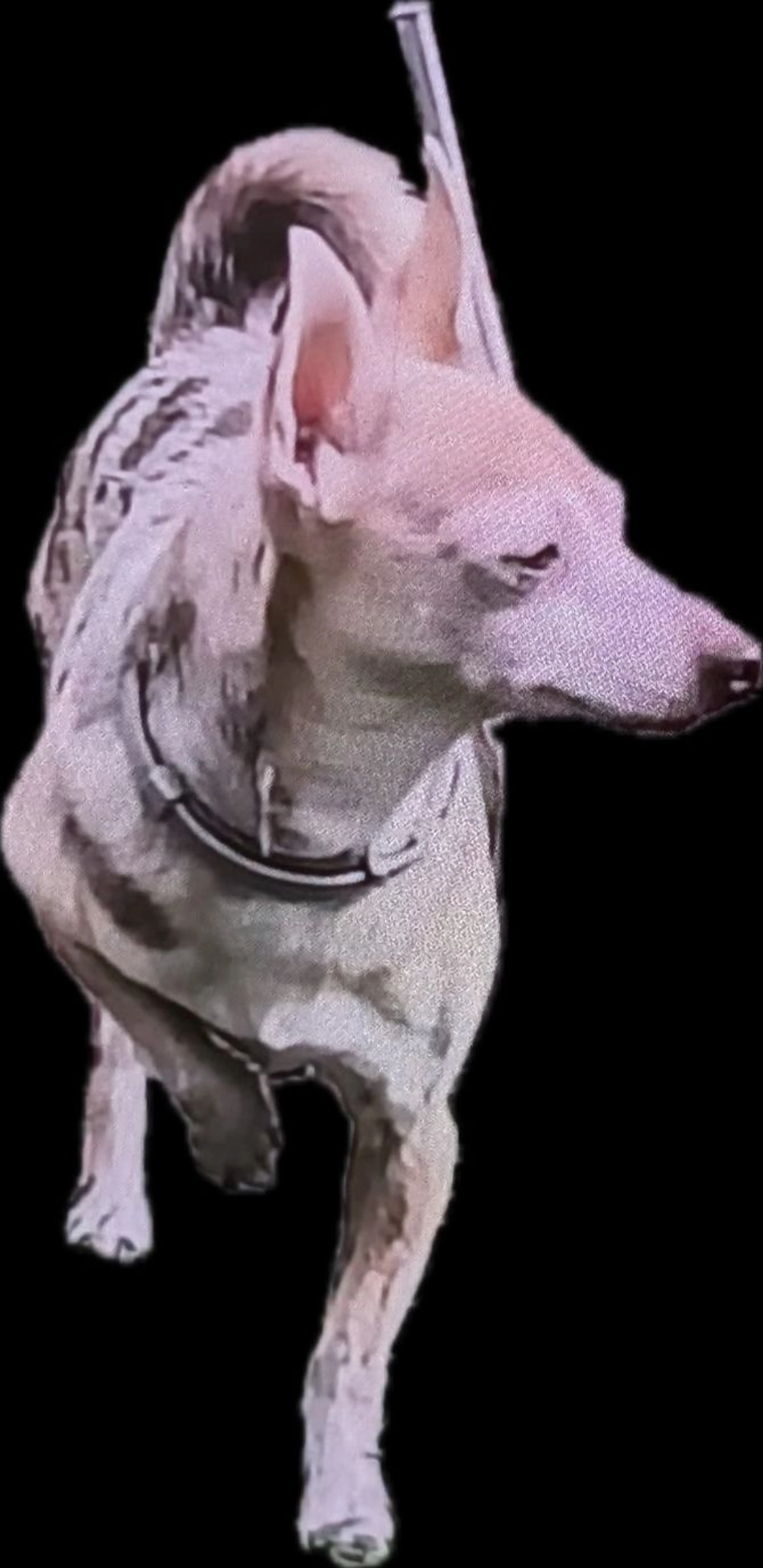 -1