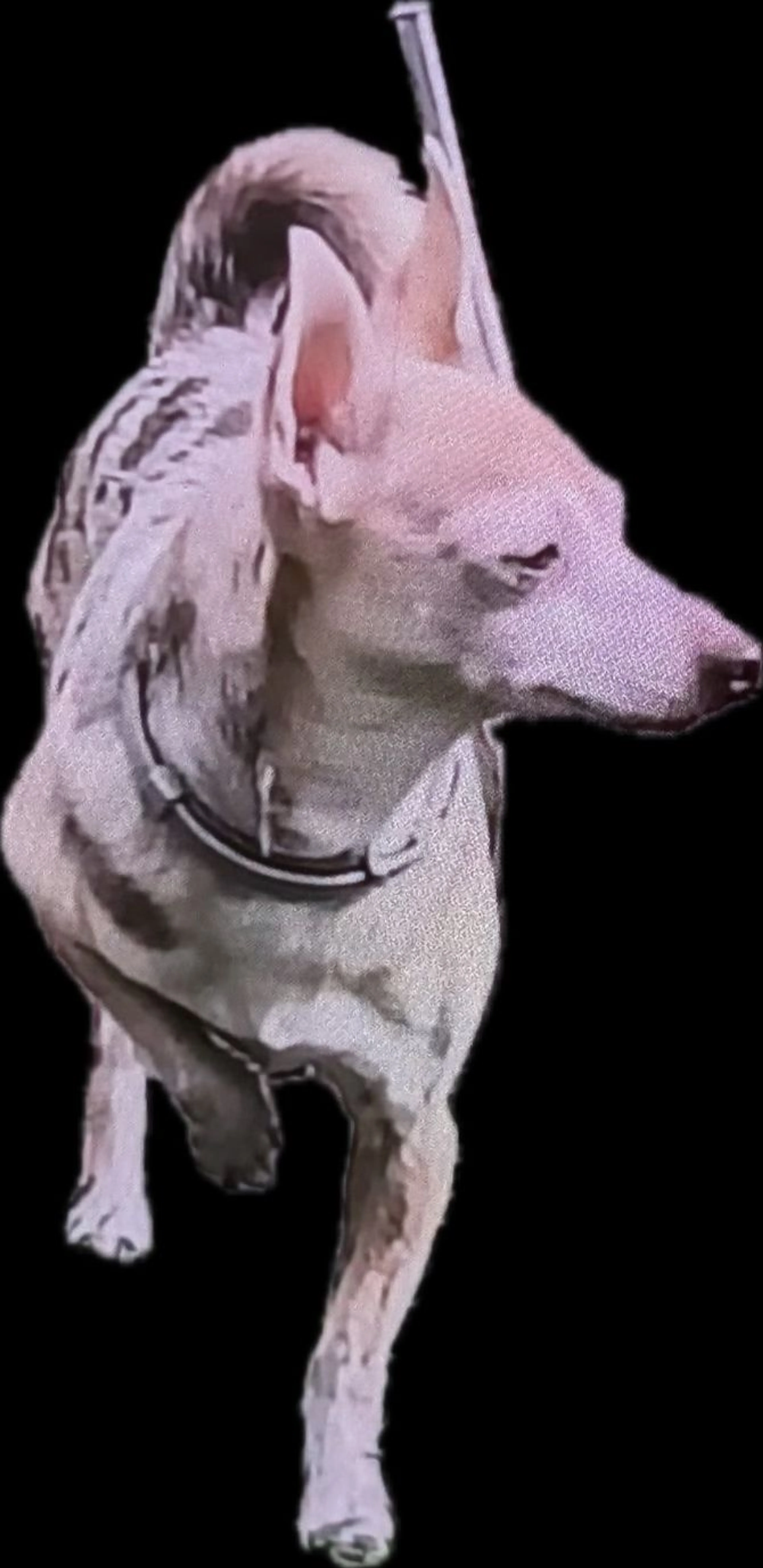 -0